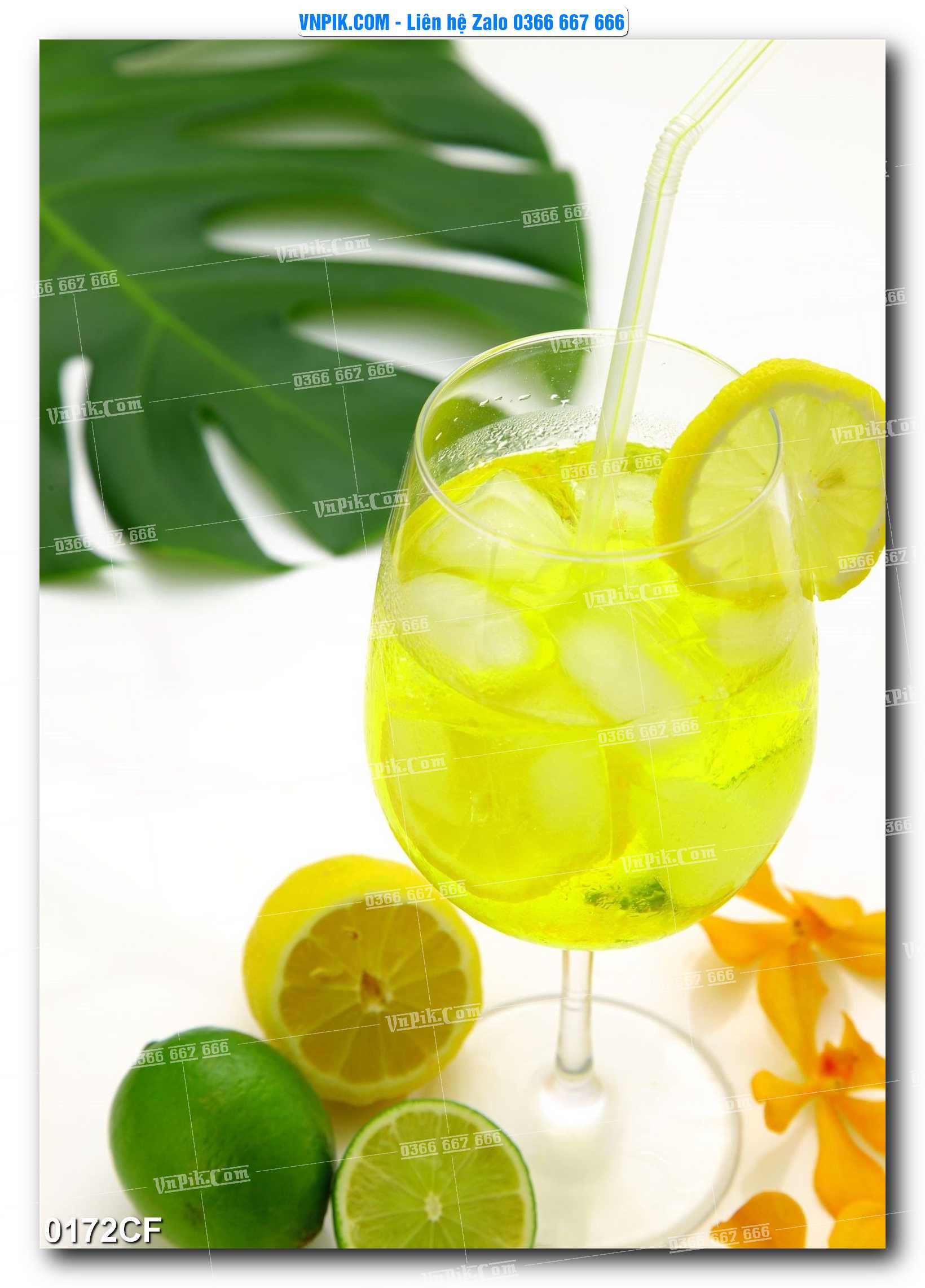 Tranh tường trang trí quán cà phê – trà chanh – trà sữa mã 0172CF