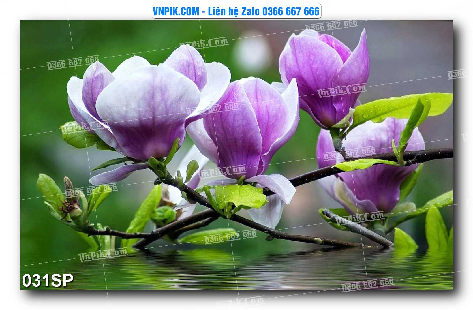 Mẫu tranh spa treo tường đẹp file vector – psd mẫu 031SP