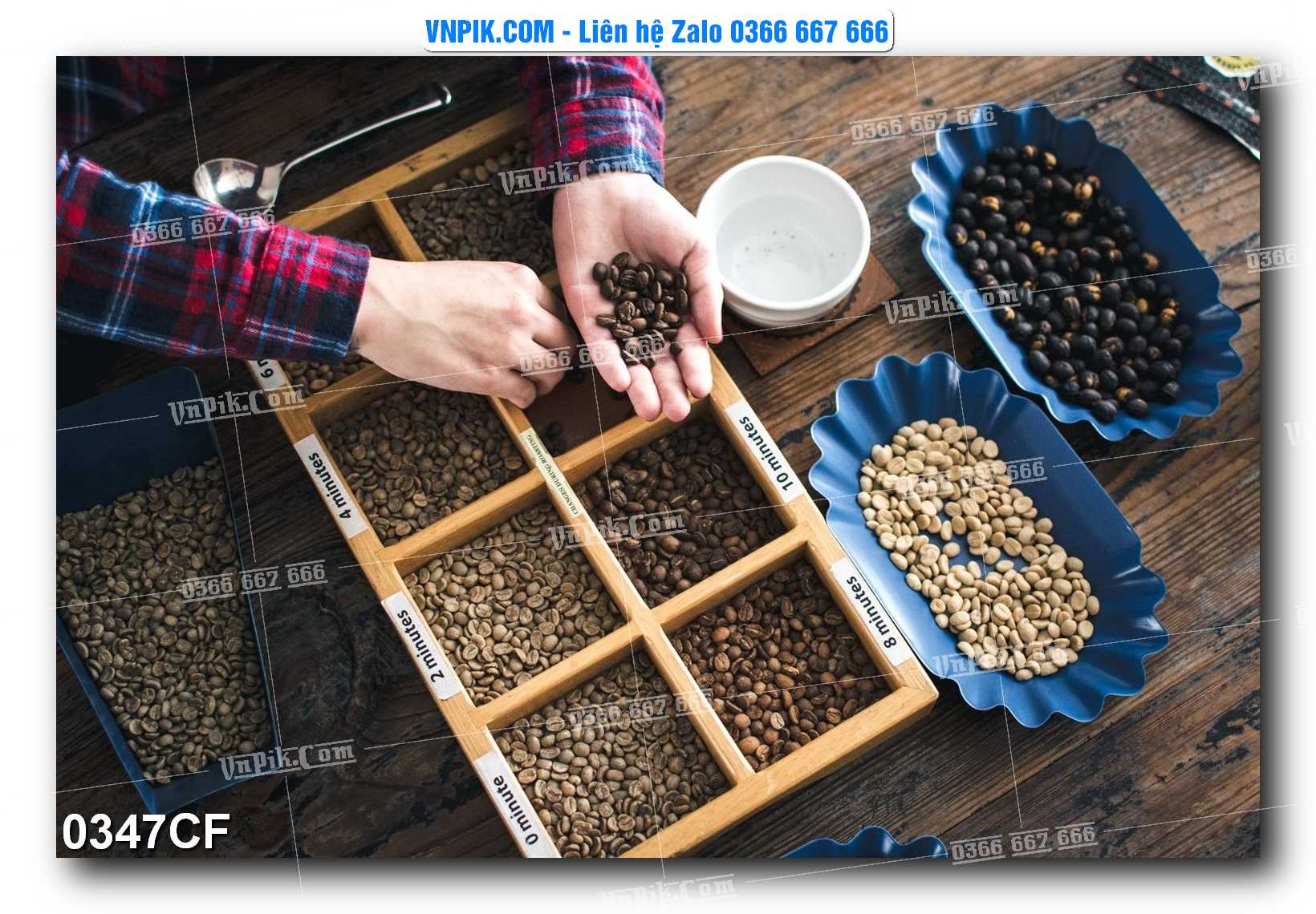 Tranh tường trang trí quán cà phê – trà chanh – trà sữa mã 0347CF
