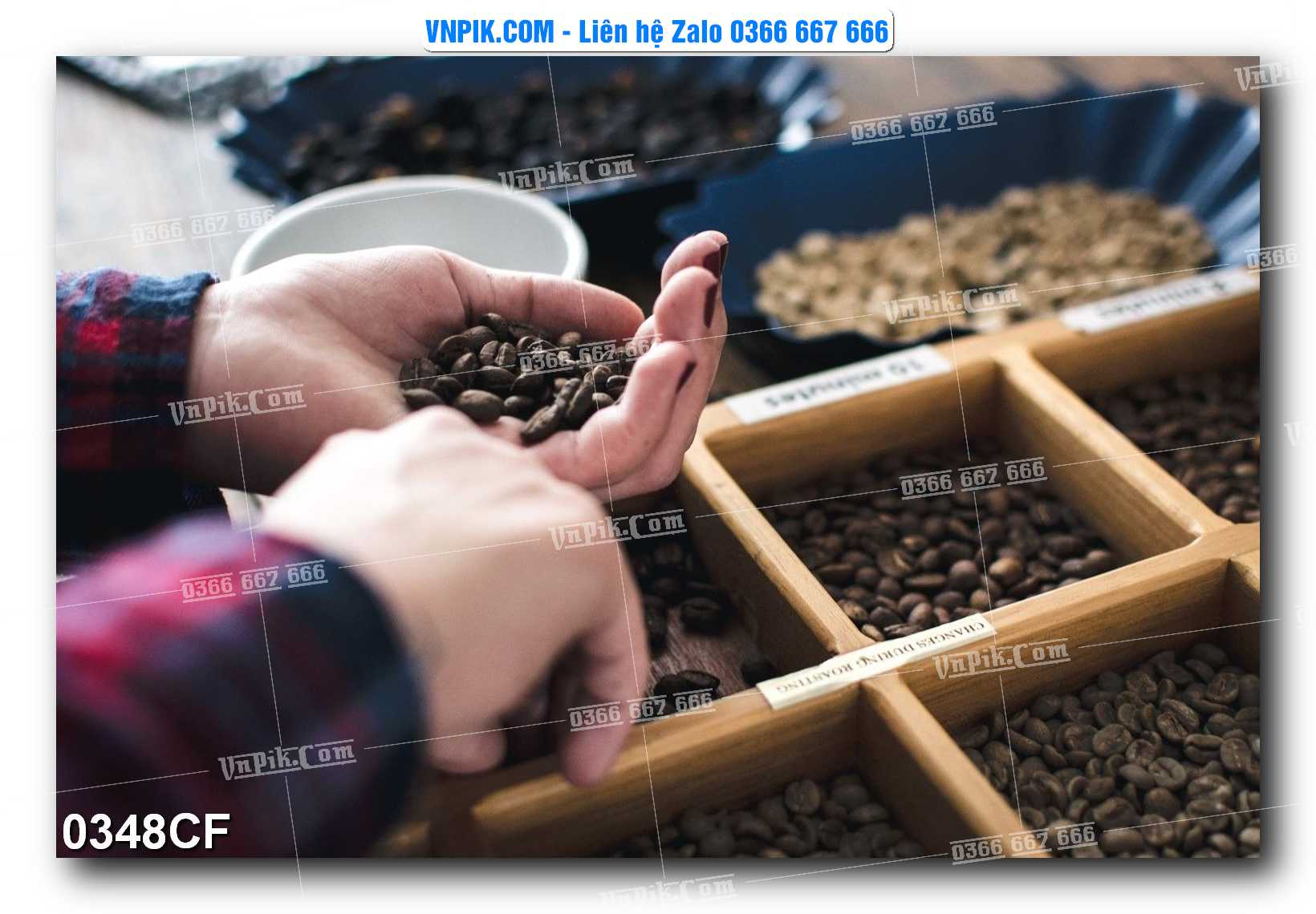 Tranh tường trang trí quán cà phê – trà chanh – trà sữa mã 0348CF