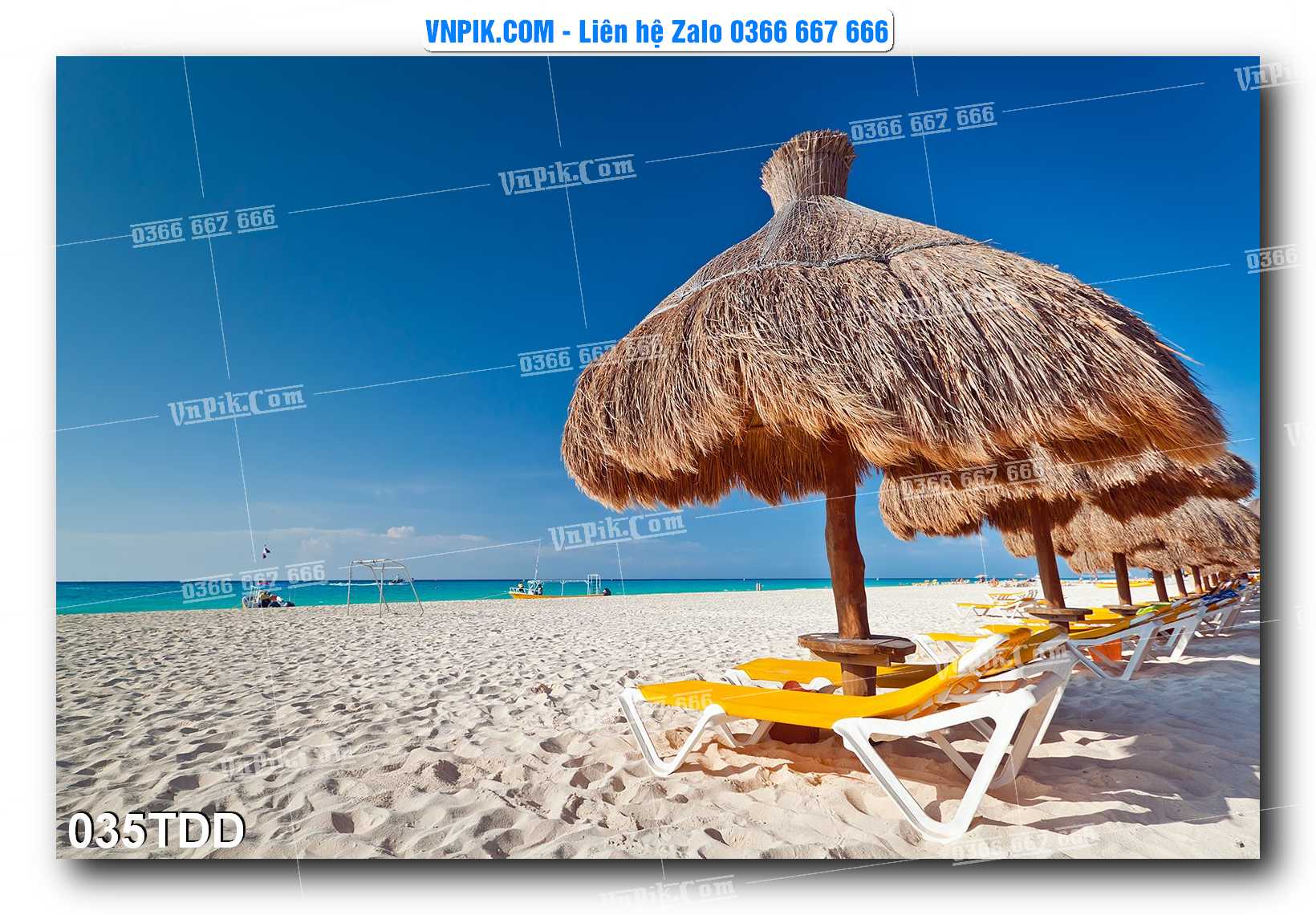 Tranh đại dương – cá heo 3D – tranh bể cá 035TDD