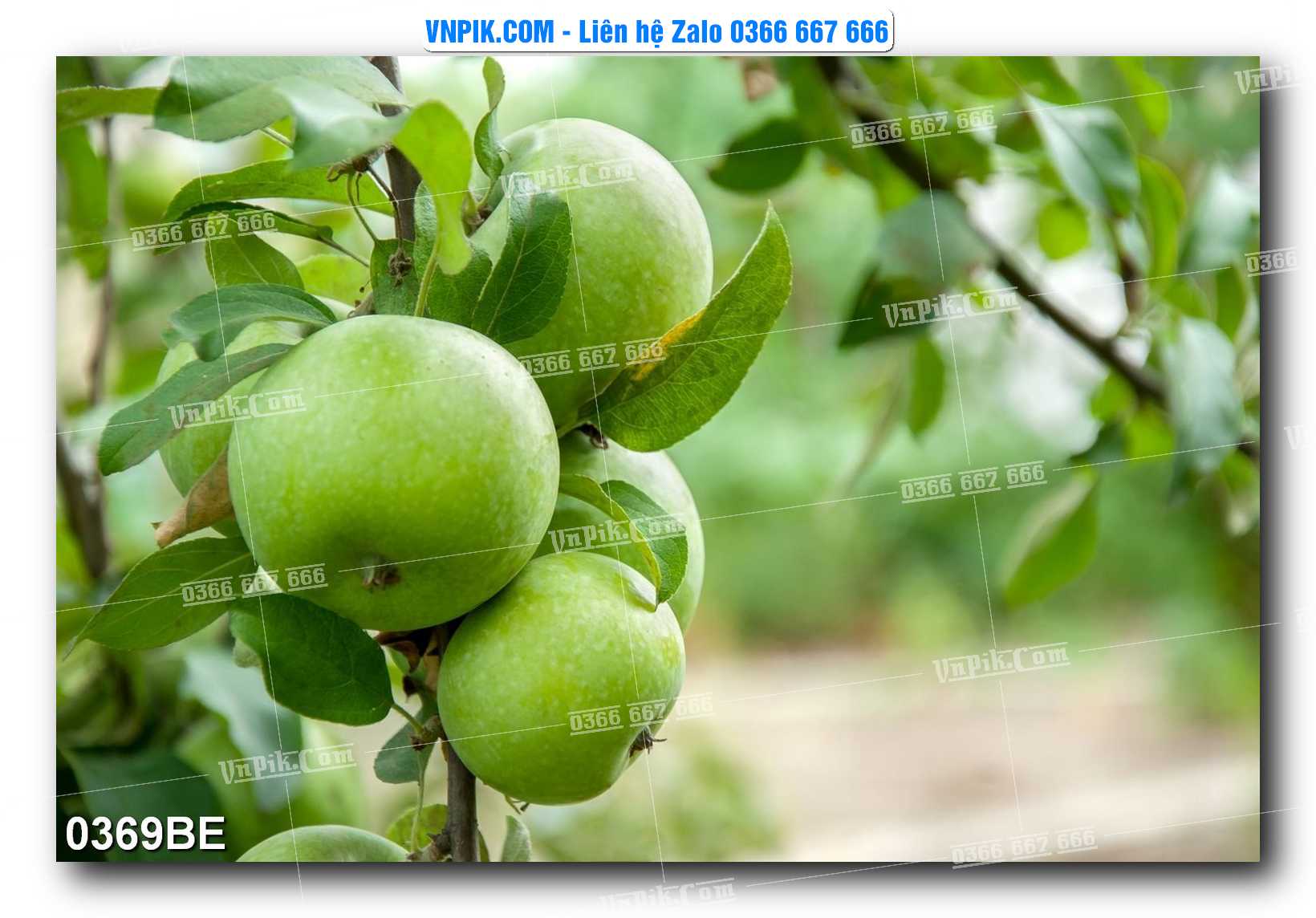 Tranh treo tường trang trí phòng bếp đẹp mã 0369BE