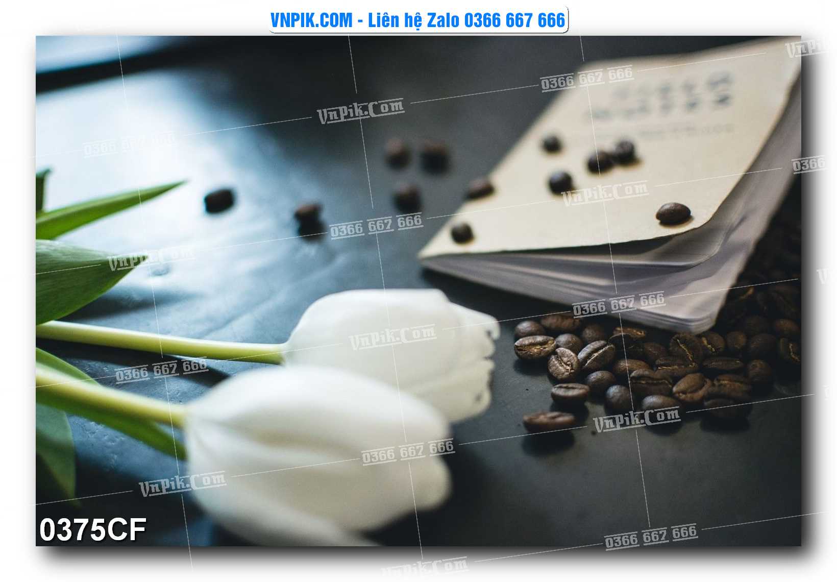 Tranh tường trang trí quán cà phê – trà chanh – trà sữa mã 0375CF