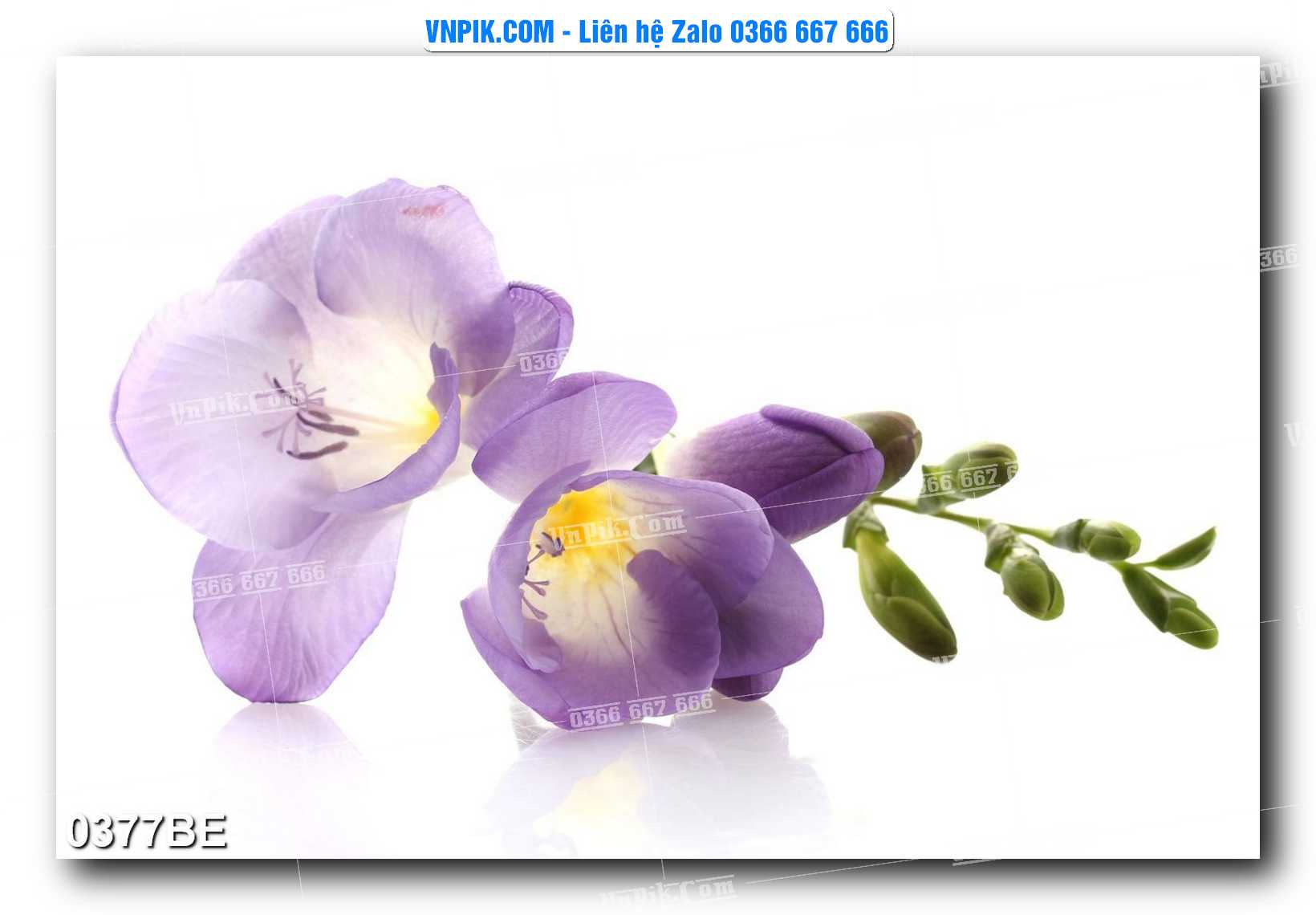 Tranh treo tường trang trí phòng bếp đẹp mã 0377BE