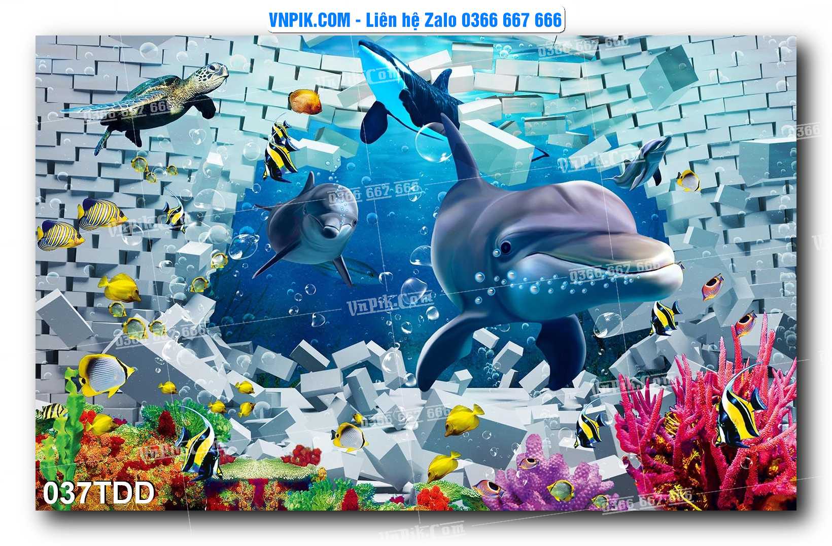 Tranh đại dương – cá heo 3D – tranh bể cá 037TDD