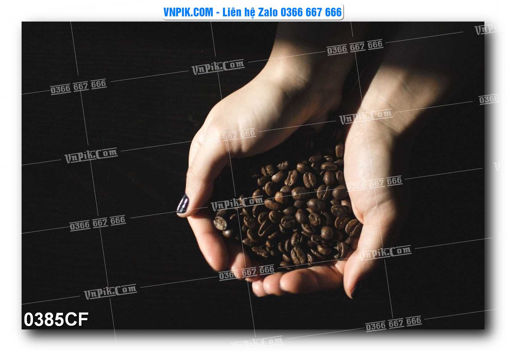 Tranh tường trang trí quán cà phê – trà chanh – trà sữa mã 0385CF