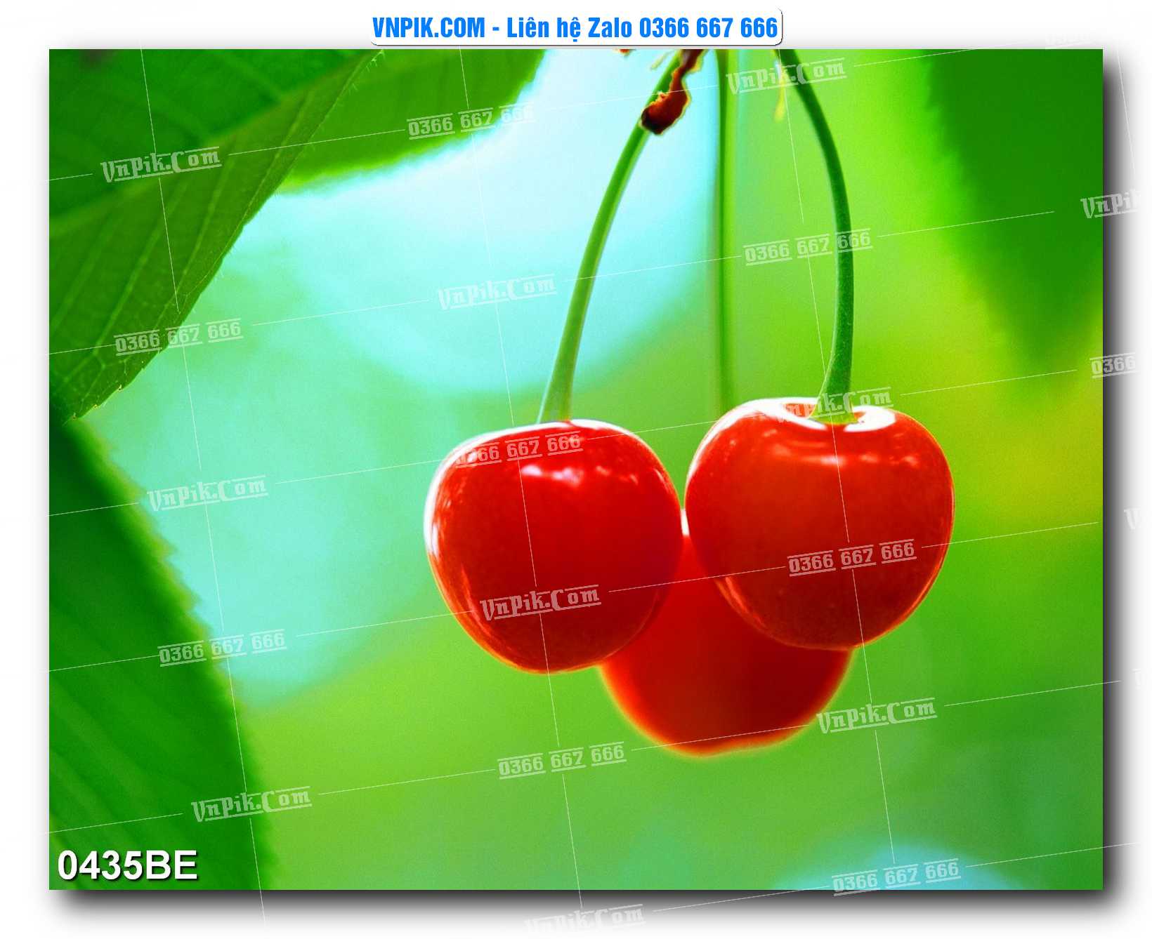 Tranh treo tường trang trí phòng bếp đẹp mã 0435BE
