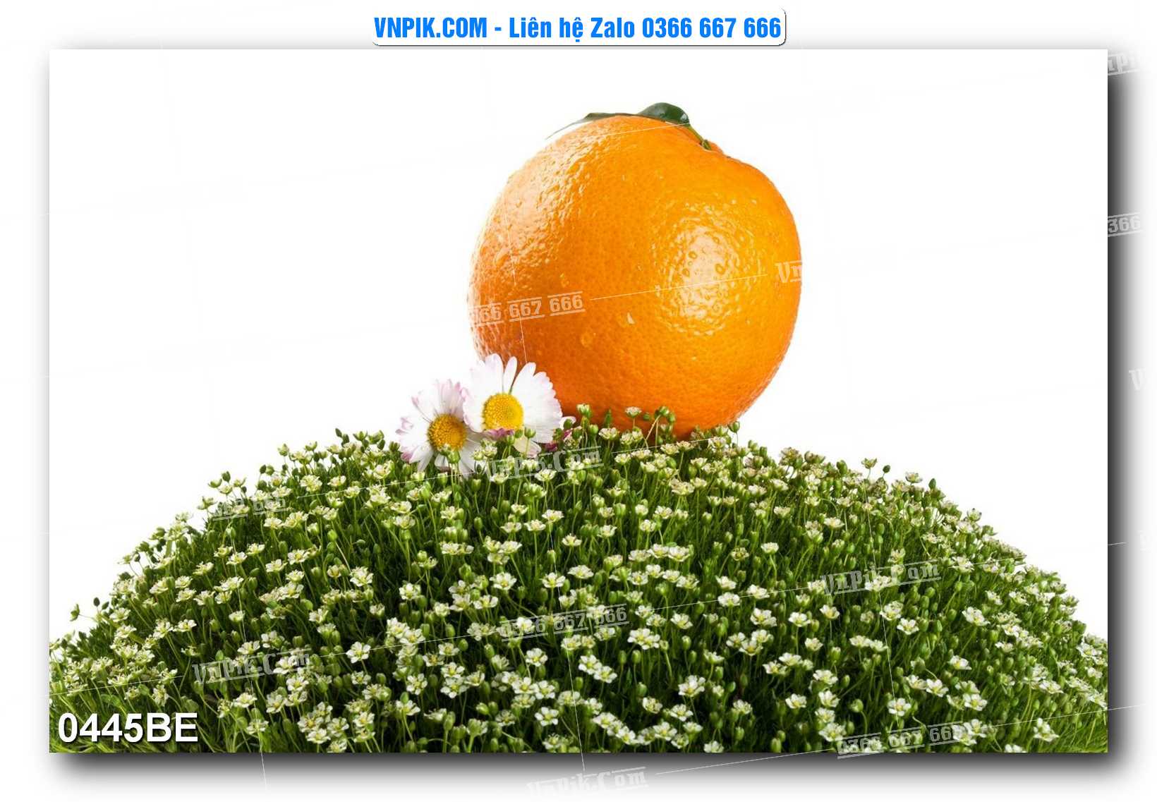 Tranh treo tường trang trí phòng bếp đẹp mã 0445BE