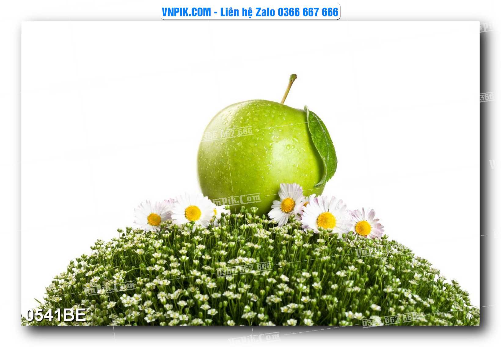 Tranh treo tường trang trí phòng bếp đẹp mã 0541BE