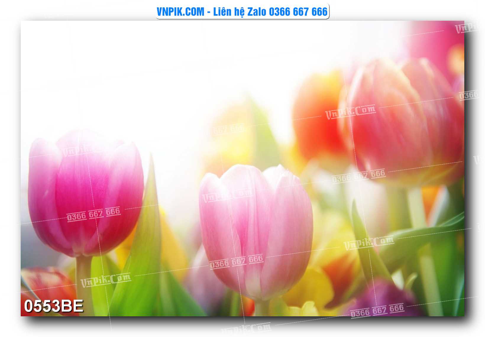 Tranh treo tường trang trí phòng bếp đẹp mã 0553BE