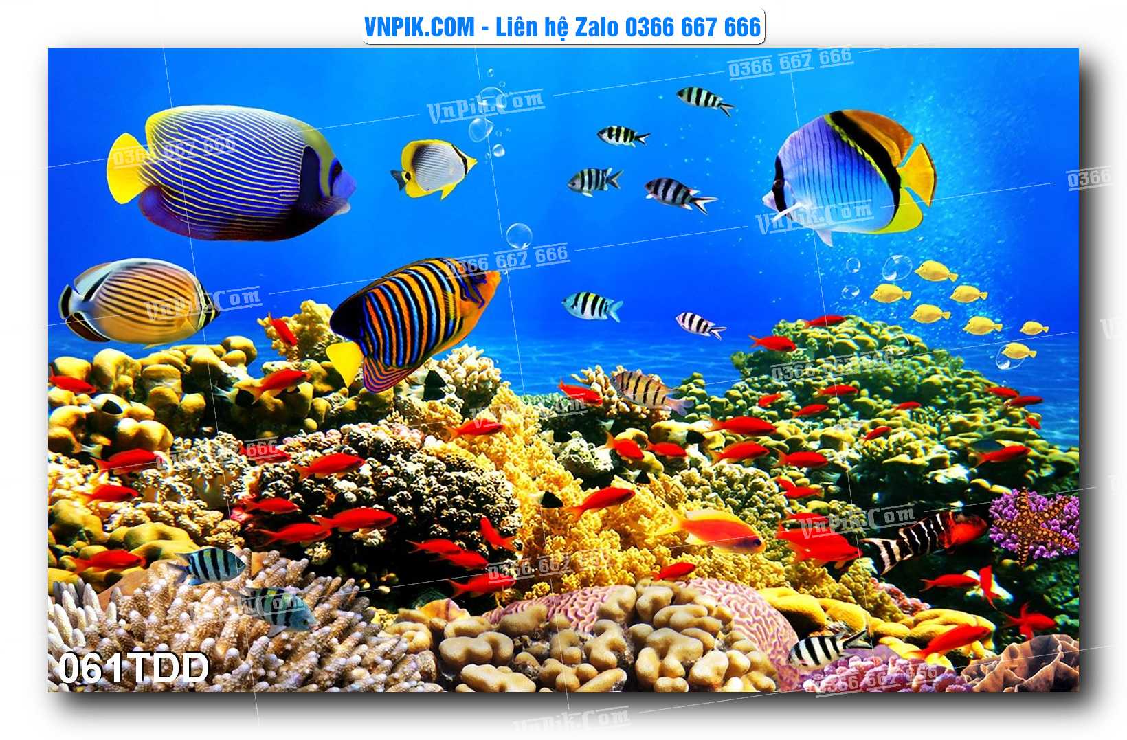 Tranh đại dương – cá heo 3D – tranh bể cá 061TDD