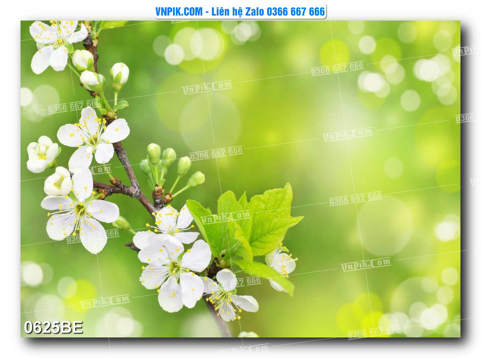Tranh treo tường trang trí phòng bếp đẹp mã 0625BE