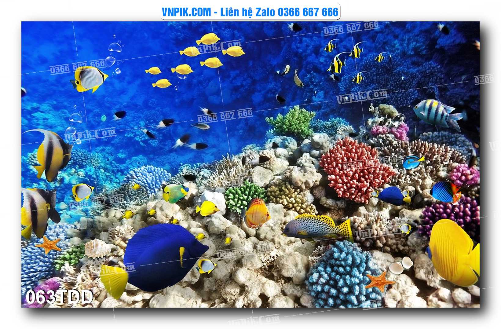 Tranh đại dương – cá heo 3D – tranh bể cá 062TDD