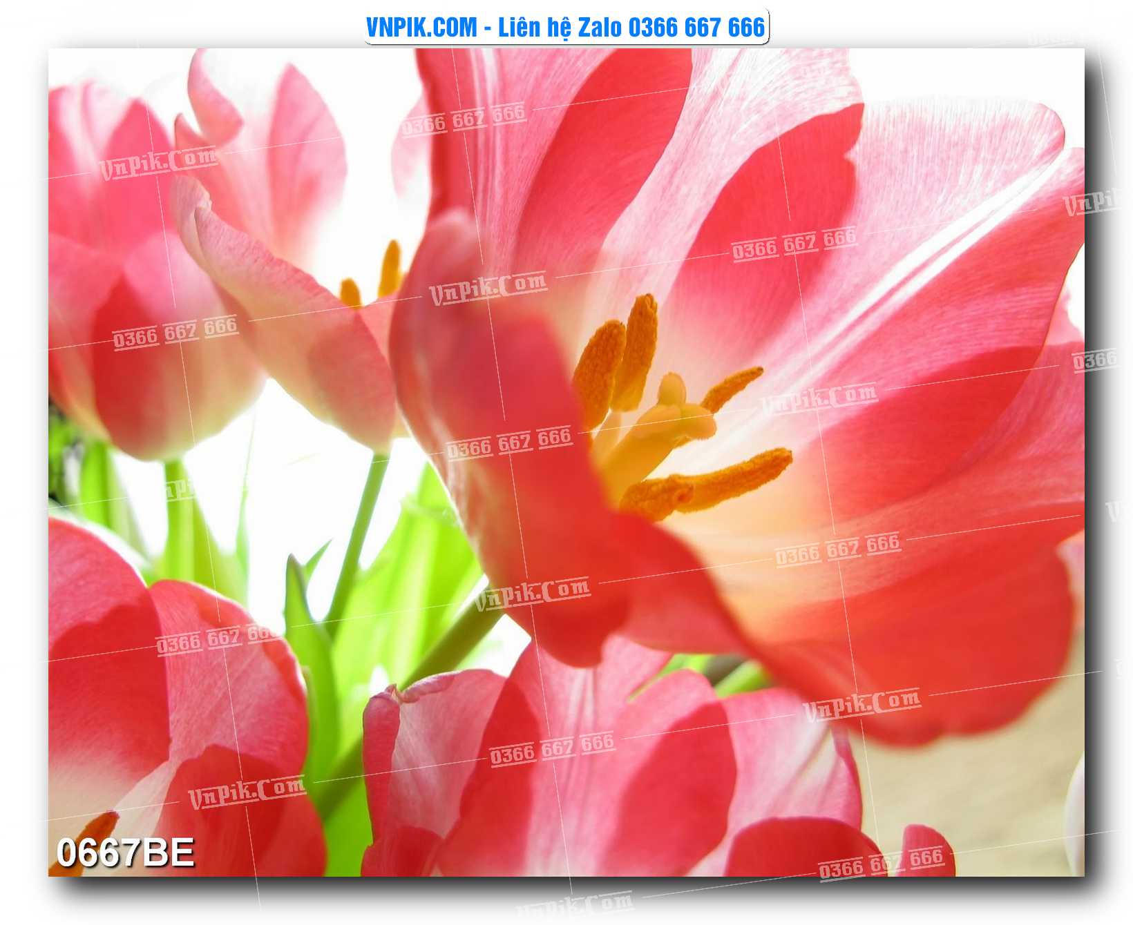 Tranh treo tường trang trí phòng bếp đẹp mã 0667BE