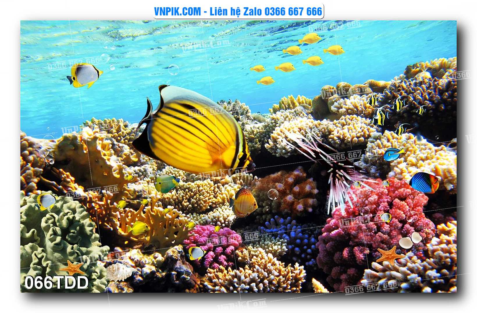 Tranh đại dương – cá heo 3D – tranh bể cá 066TDD