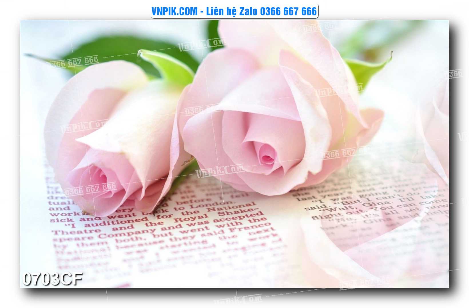 Tranh tường trang trí quán cà phê – trà chanh – trà sữa mã 0703CF
