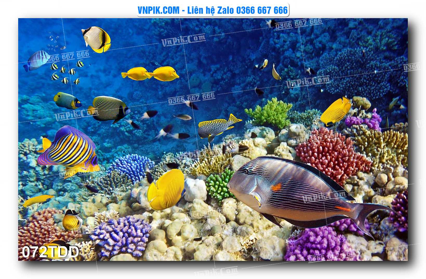Tranh đại dương – cá heo 3D – tranh bể cá 072TDD