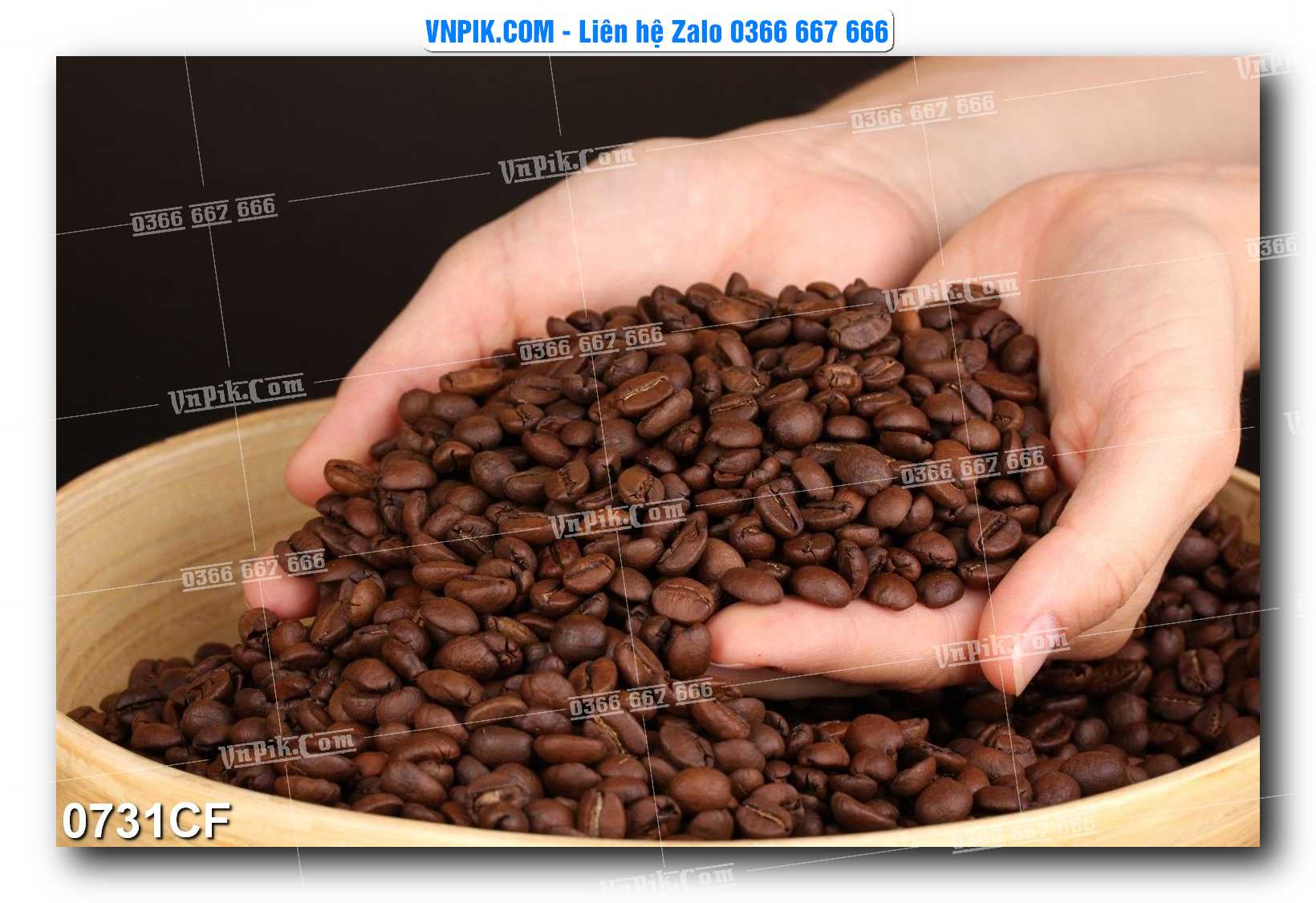 Tranh tường trang trí quán cà phê – trà chanh – trà sữa mã 0731CF