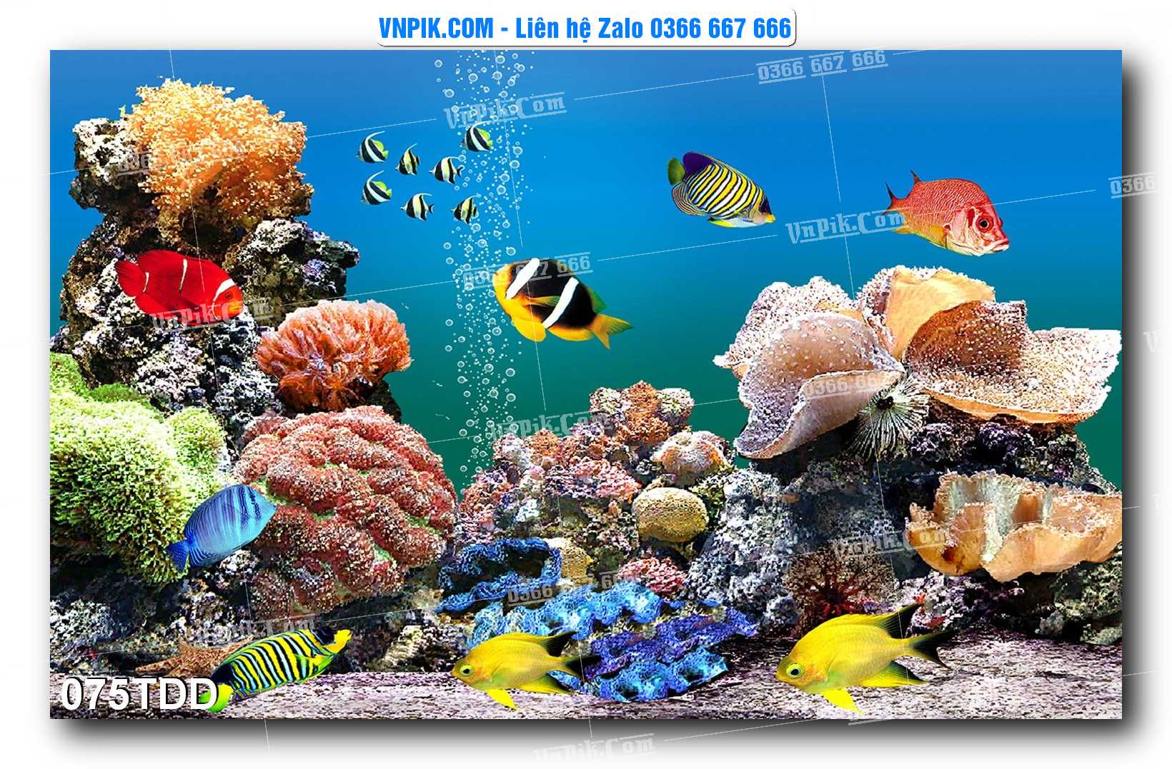 Tranh đại dương – cá heo 3D – tranh bể cá 075TDD