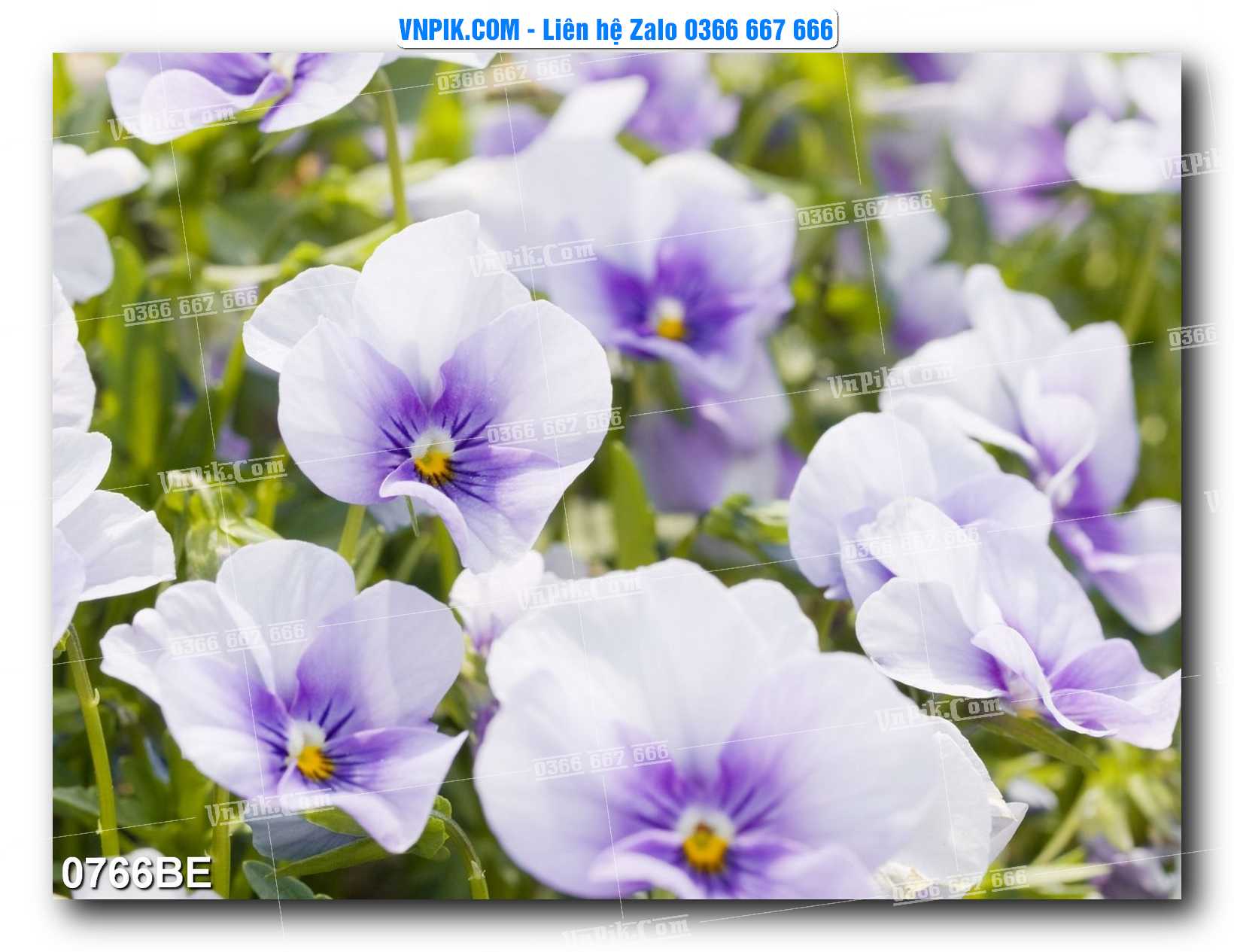Tranh treo tường trang trí phòng bếp đẹp mã 0766BE