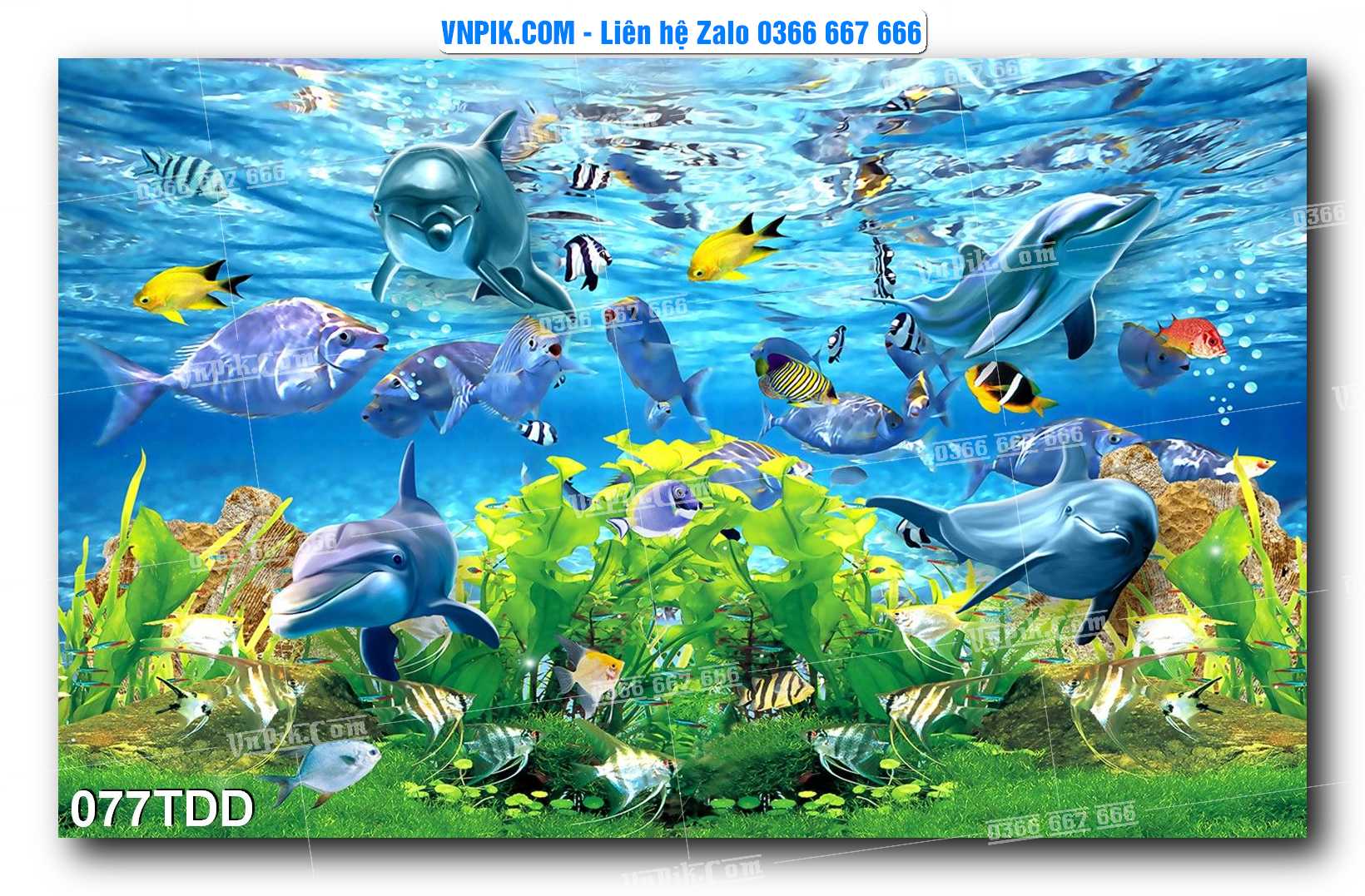 Tranh đại dương – cá heo 3D – tranh bể cá 077TDD