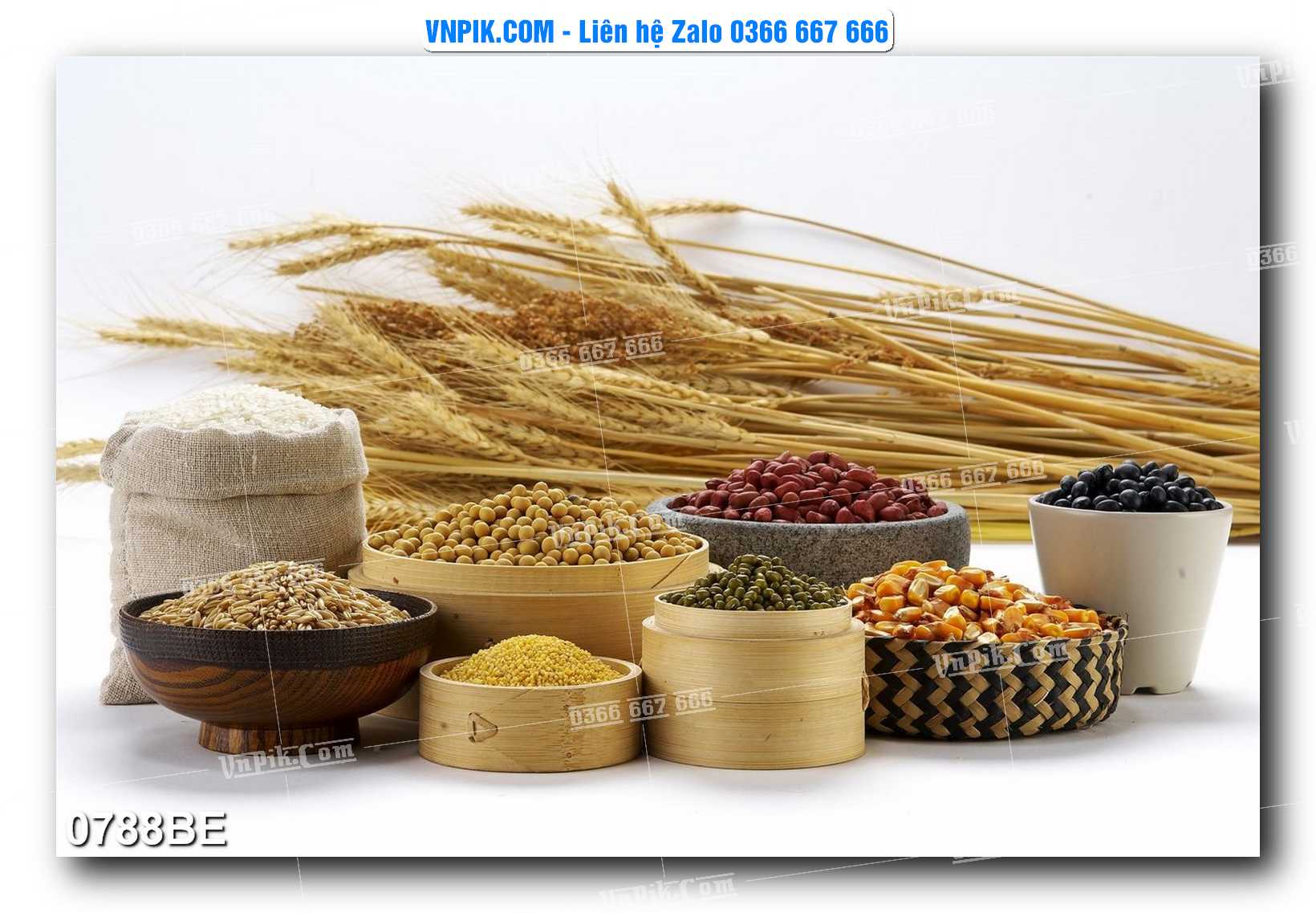 Tranh treo tường trang trí phòng bếp đẹp mã 0788BE