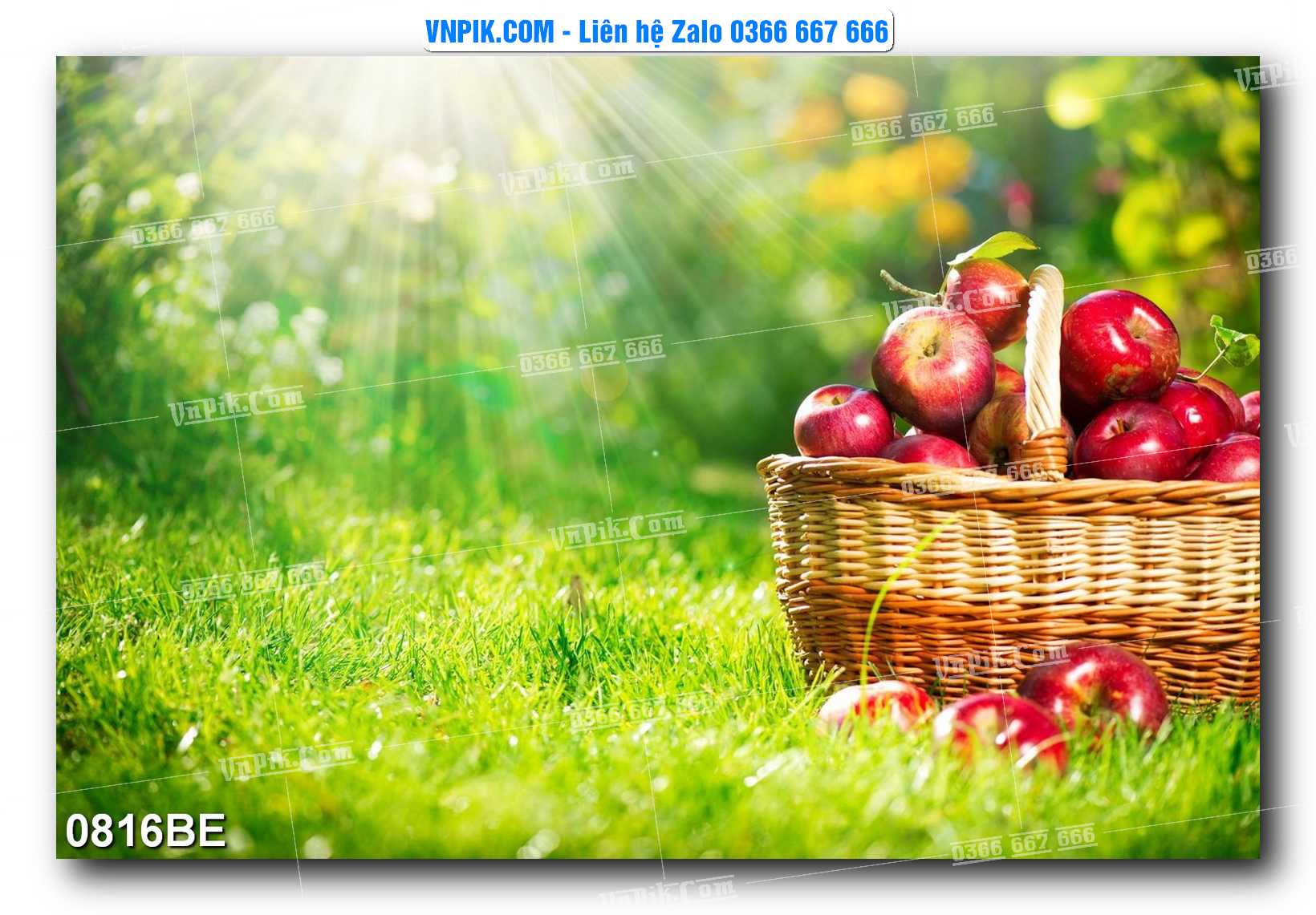 Tranh treo tường trang trí phòng bếp đẹp mã 0816BE