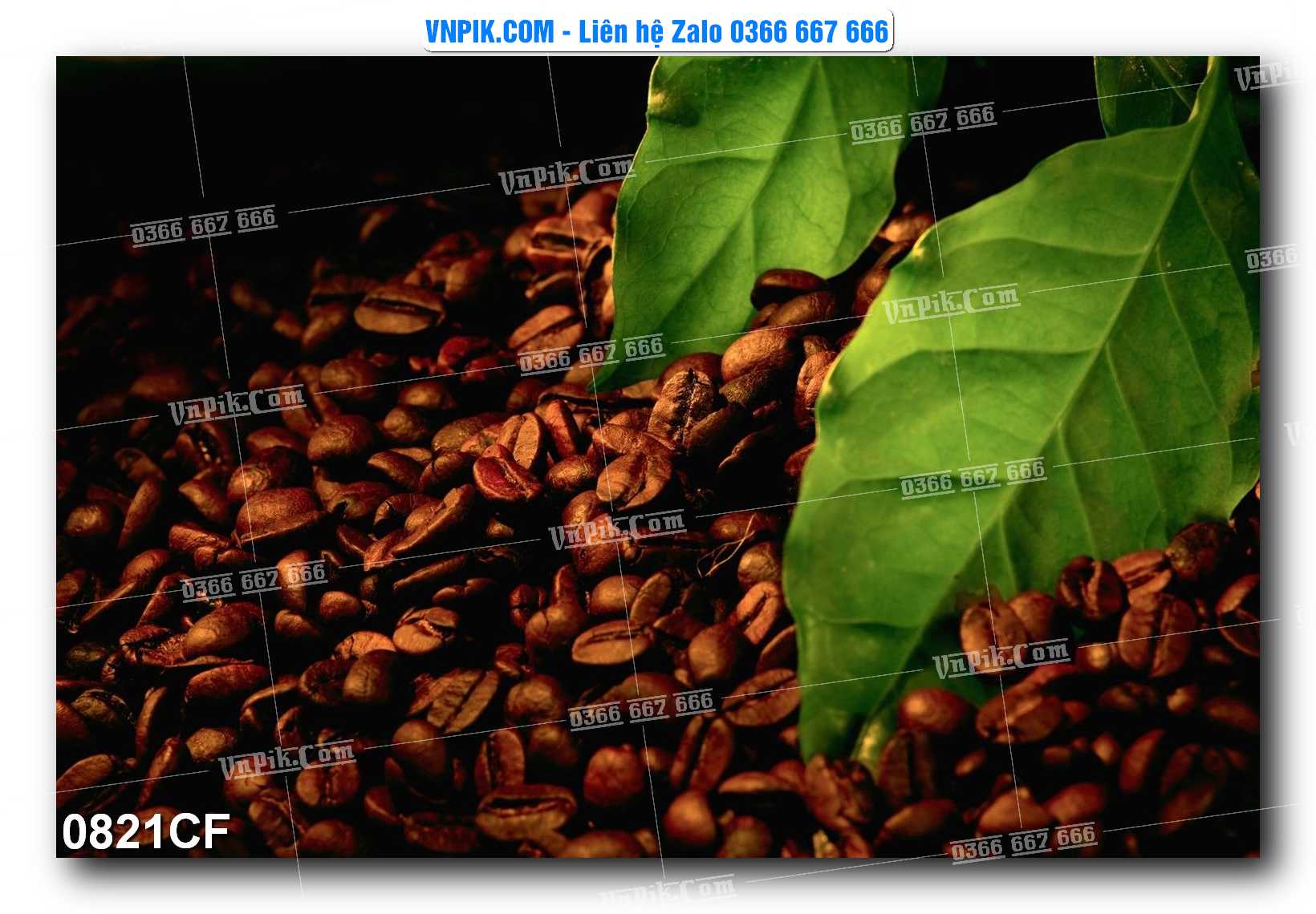 Tranh tường trang trí quán cà phê – trà chanh – trà sữa mã 0821CF