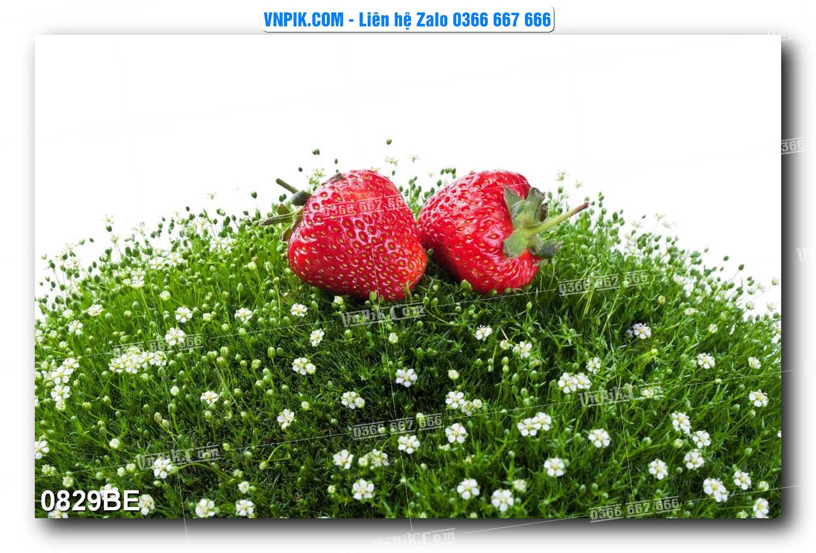 Tranh treo tường trang trí phòng bếp đẹp mã 0829BE
