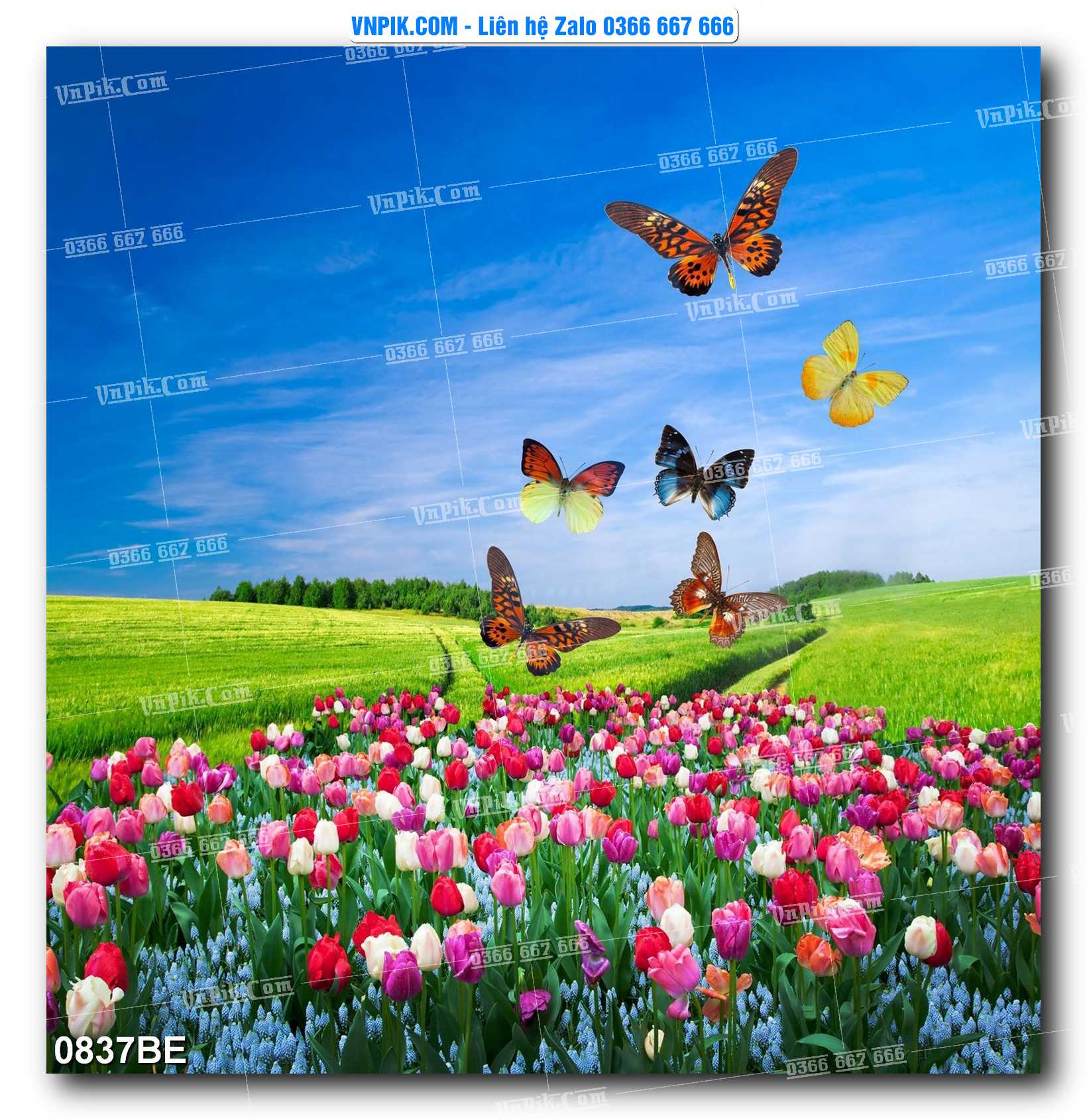 Tranh treo tường trang trí phòng bếp đẹp mã 0837BE