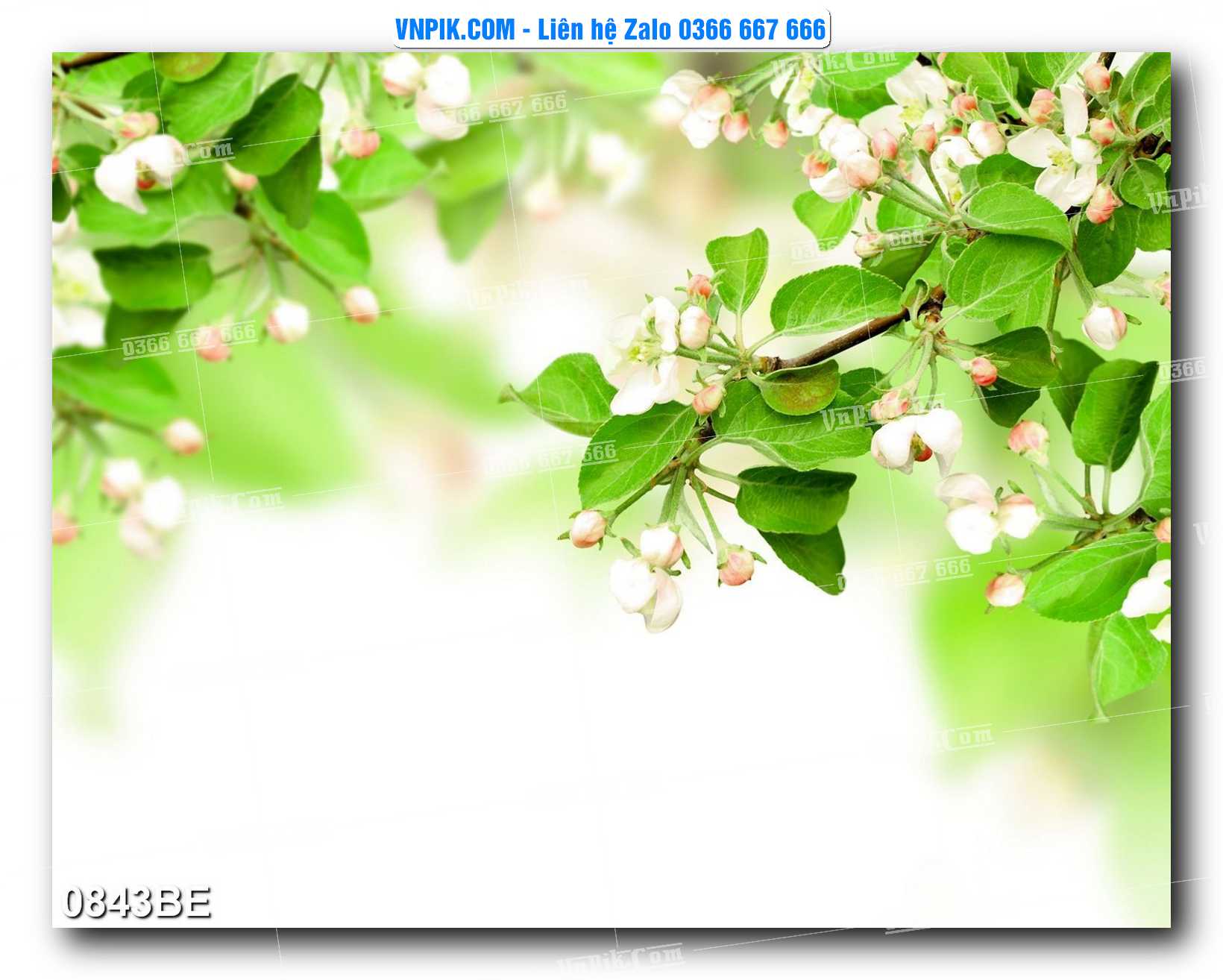 Tranh treo tường trang trí phòng bếp đẹp mã 0843BE