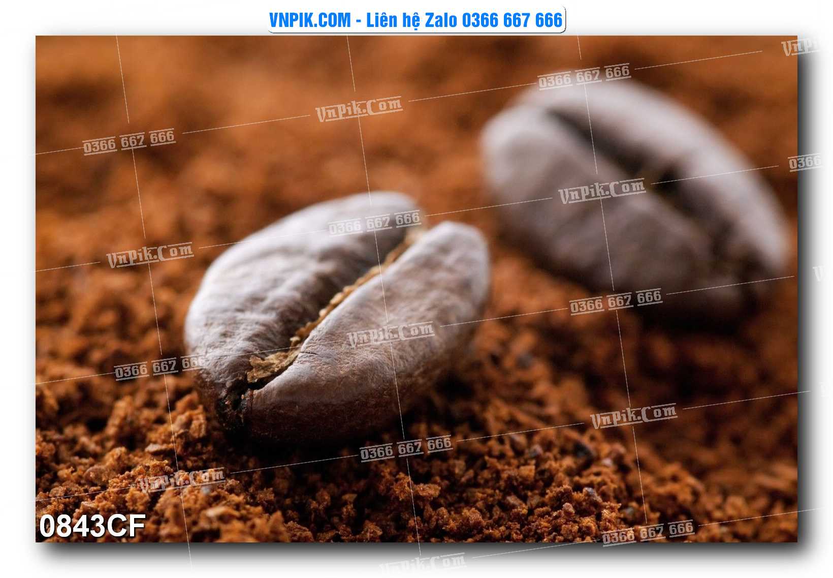 Tranh tường trang trí quán cà phê – trà chanh – trà sữa mã 0843CF