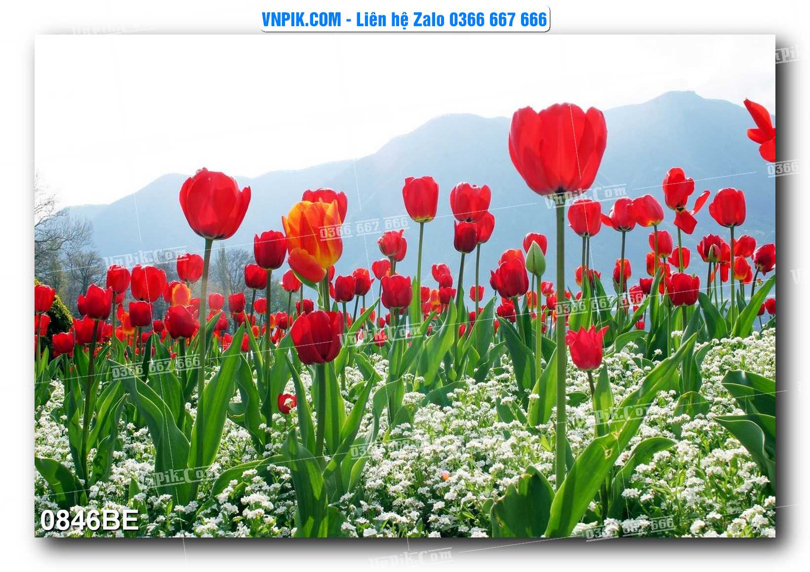 Tranh treo tường trang trí phòng bếp đẹp mã 0846BE
