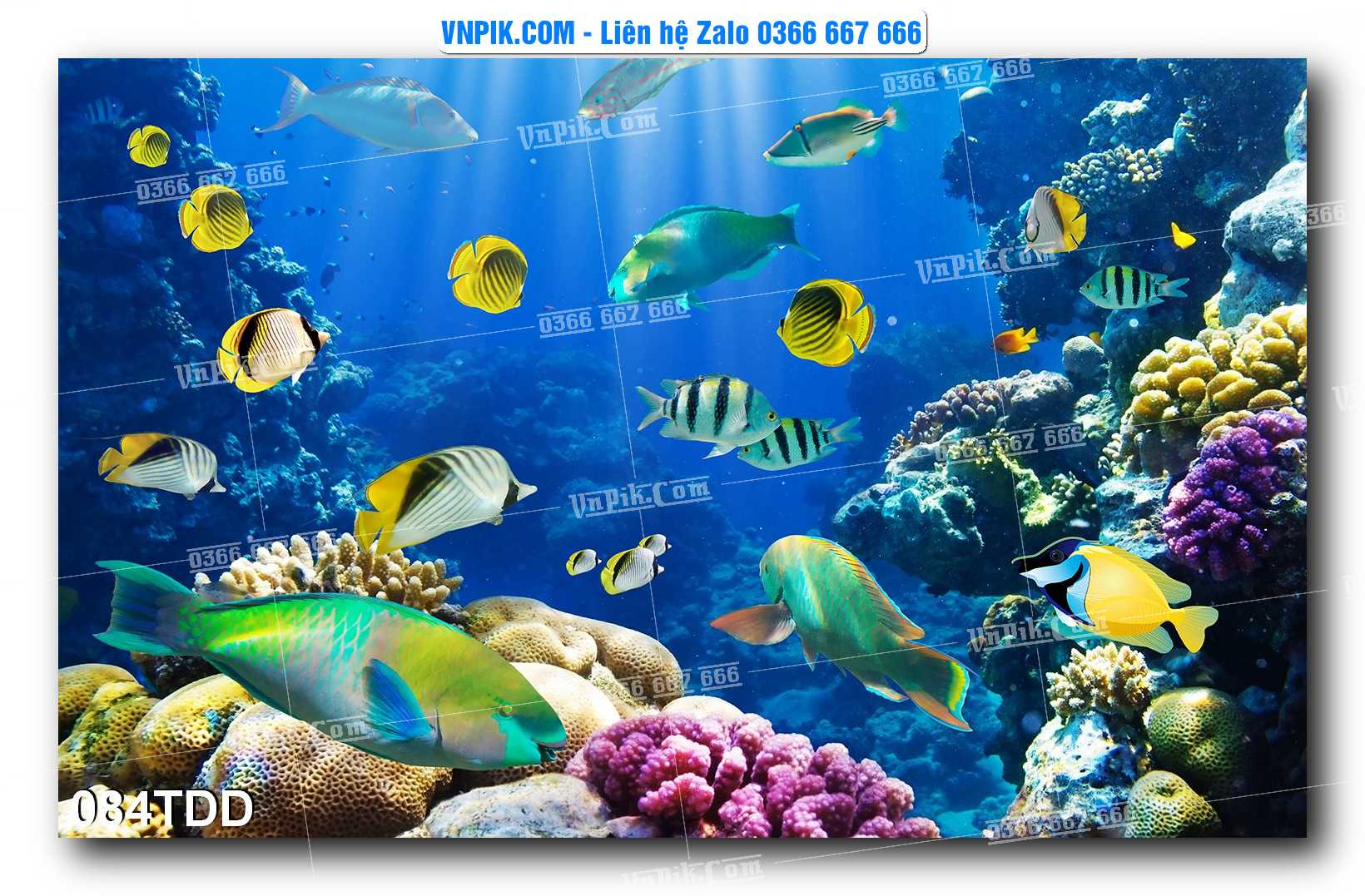 Tranh đại dương – cá heo 3D – tranh bể cá 084TDD