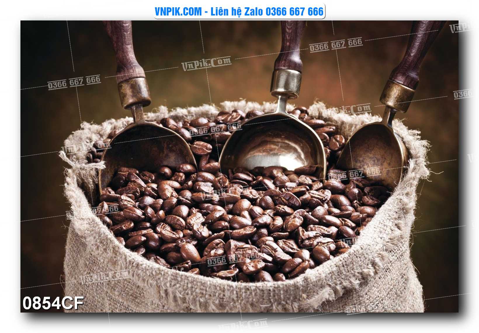 Tranh tường trang trí quán cà phê – trà chanh – trà sữa mã 0854CF