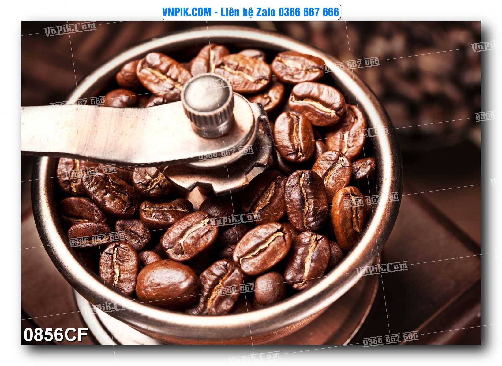 Tranh tường trang trí quán cà phê – trà chanh – trà sữa mã 0856CF