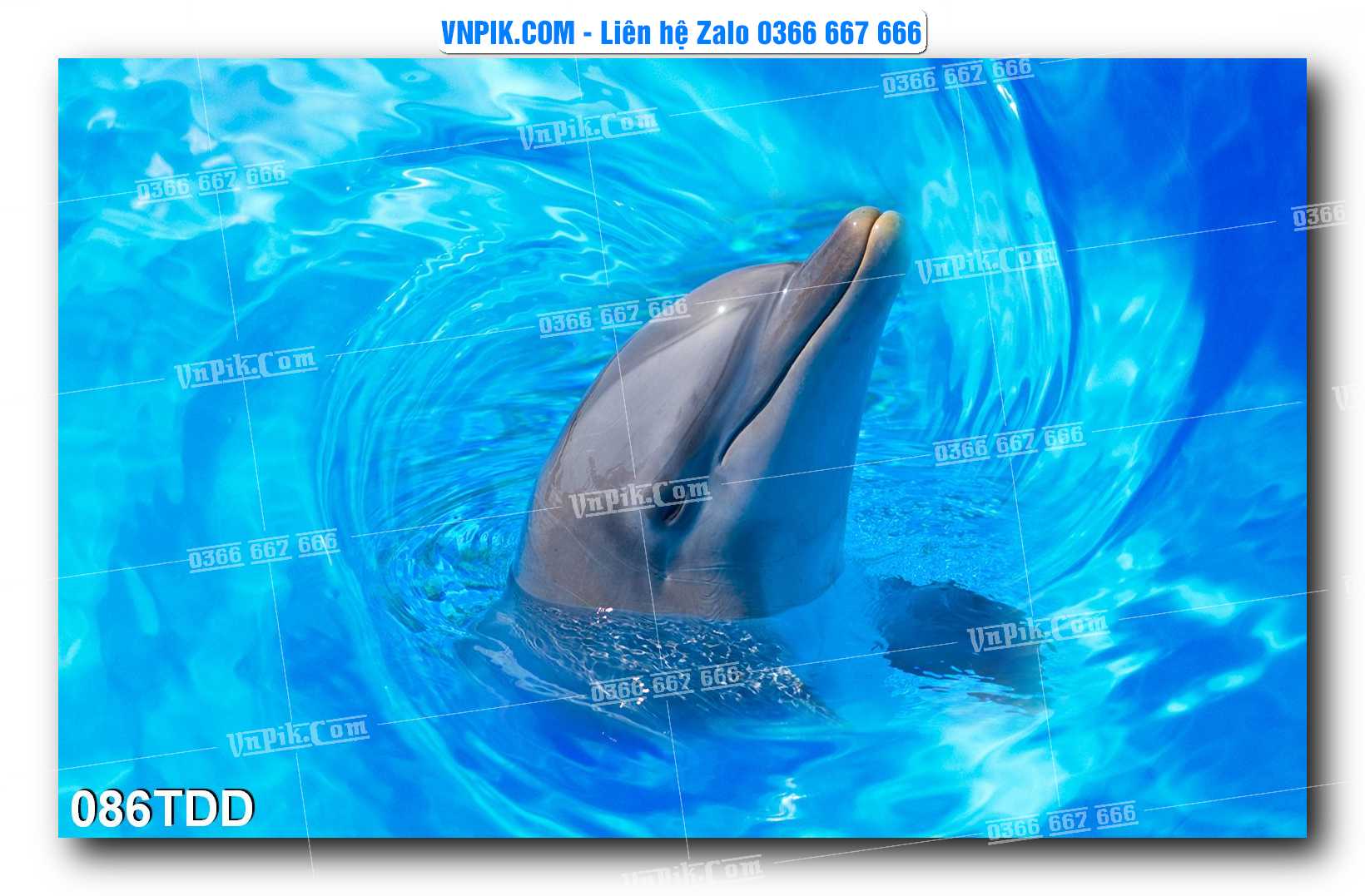 Tranh đại dương – cá heo 3D – tranh bể cá 086TDD