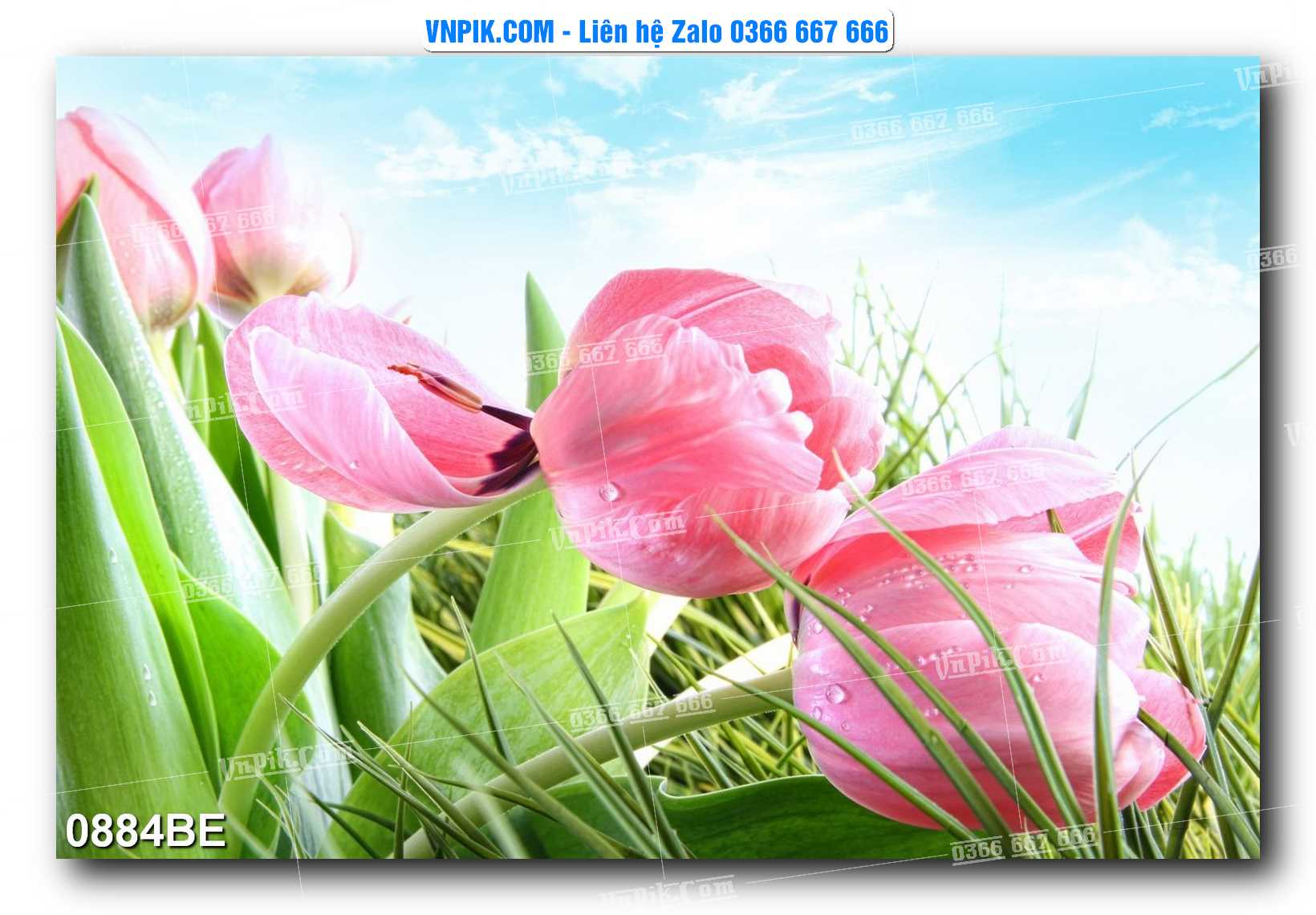 Tranh treo tường trang trí phòng bếp đẹp mã 0884BE