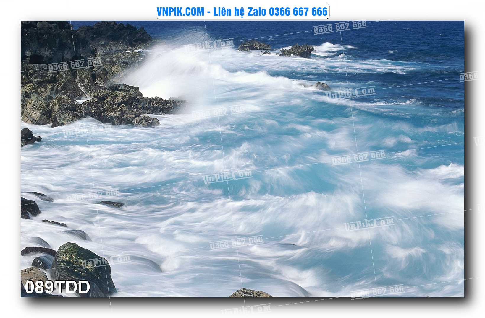 Tranh đại dương – cá heo 3D – tranh bể cá 089TDD