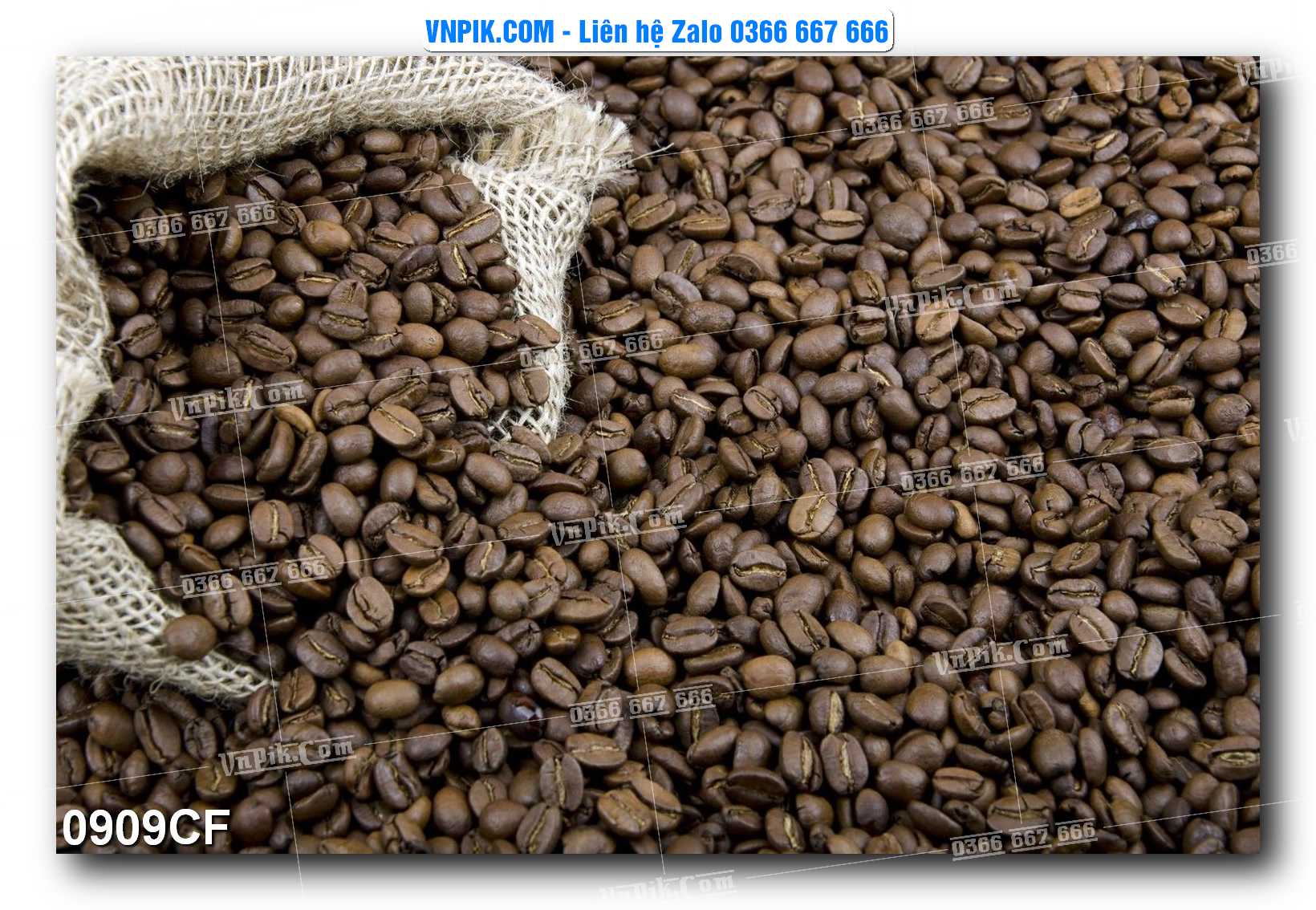 Tranh tường trang trí quán cà phê – trà chanh – trà sữa mã 0909CF