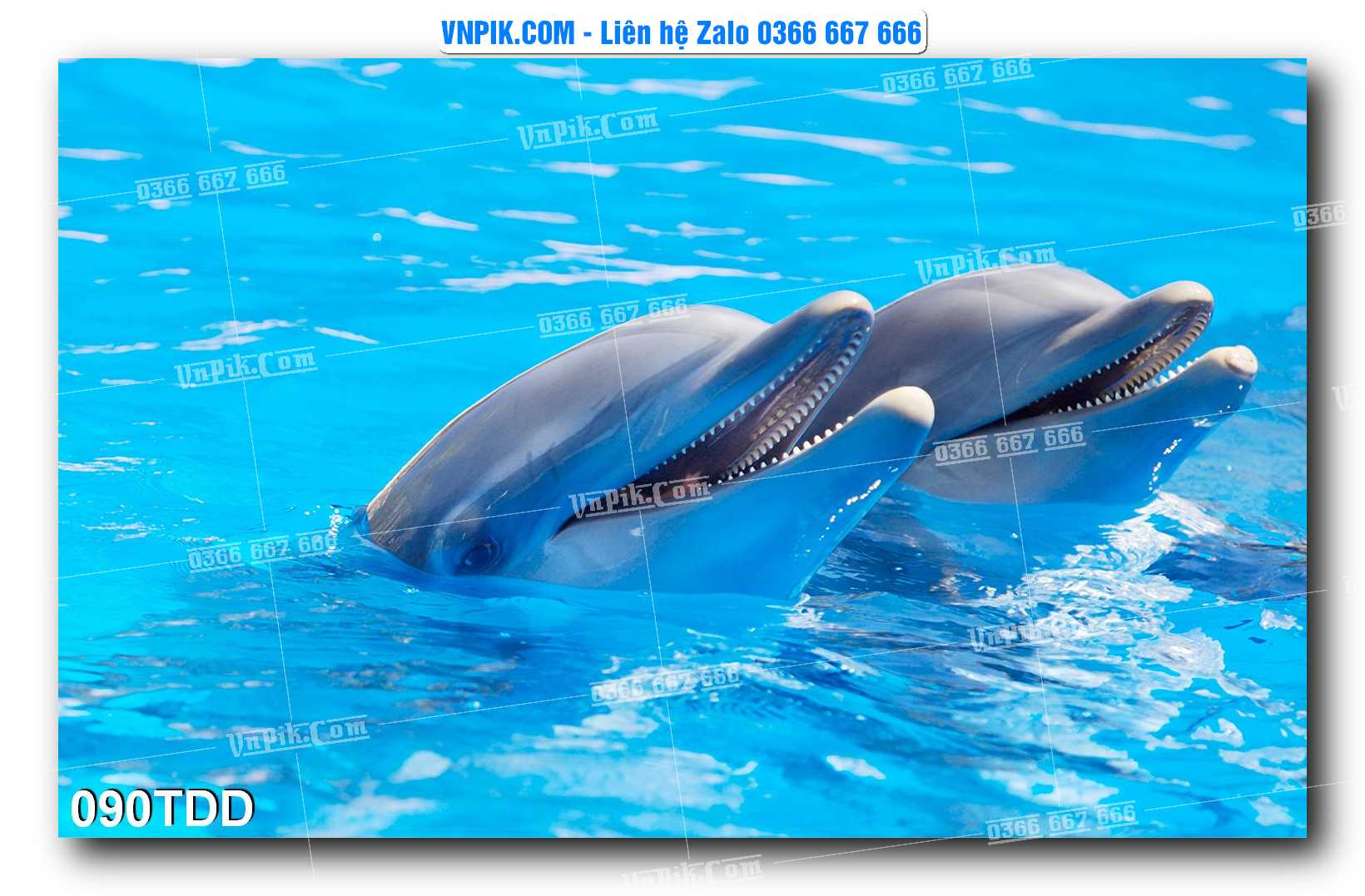 Tranh đại dương – cá heo 3D – tranh bể cá 090TDD