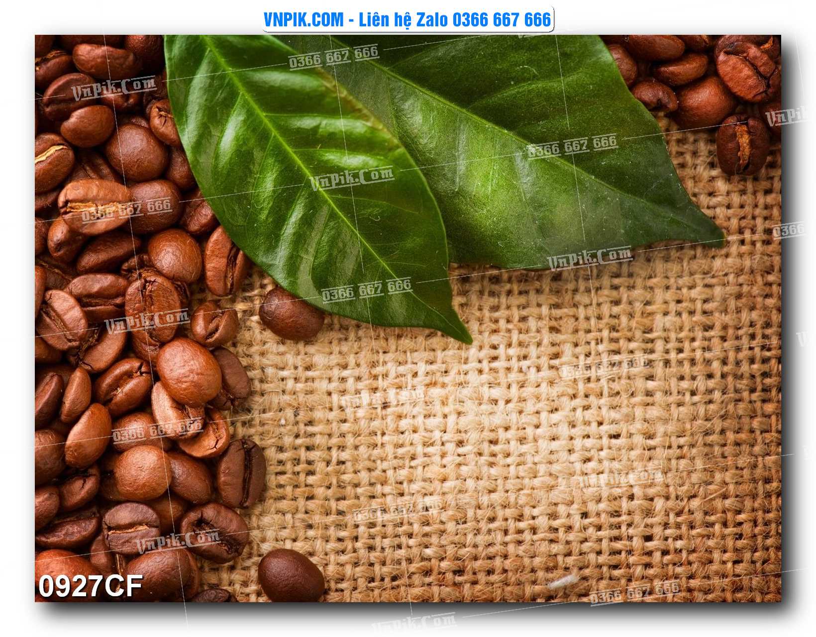 Tranh tường trang trí quán cà phê – trà chanh – trà sữa mã 0927CF