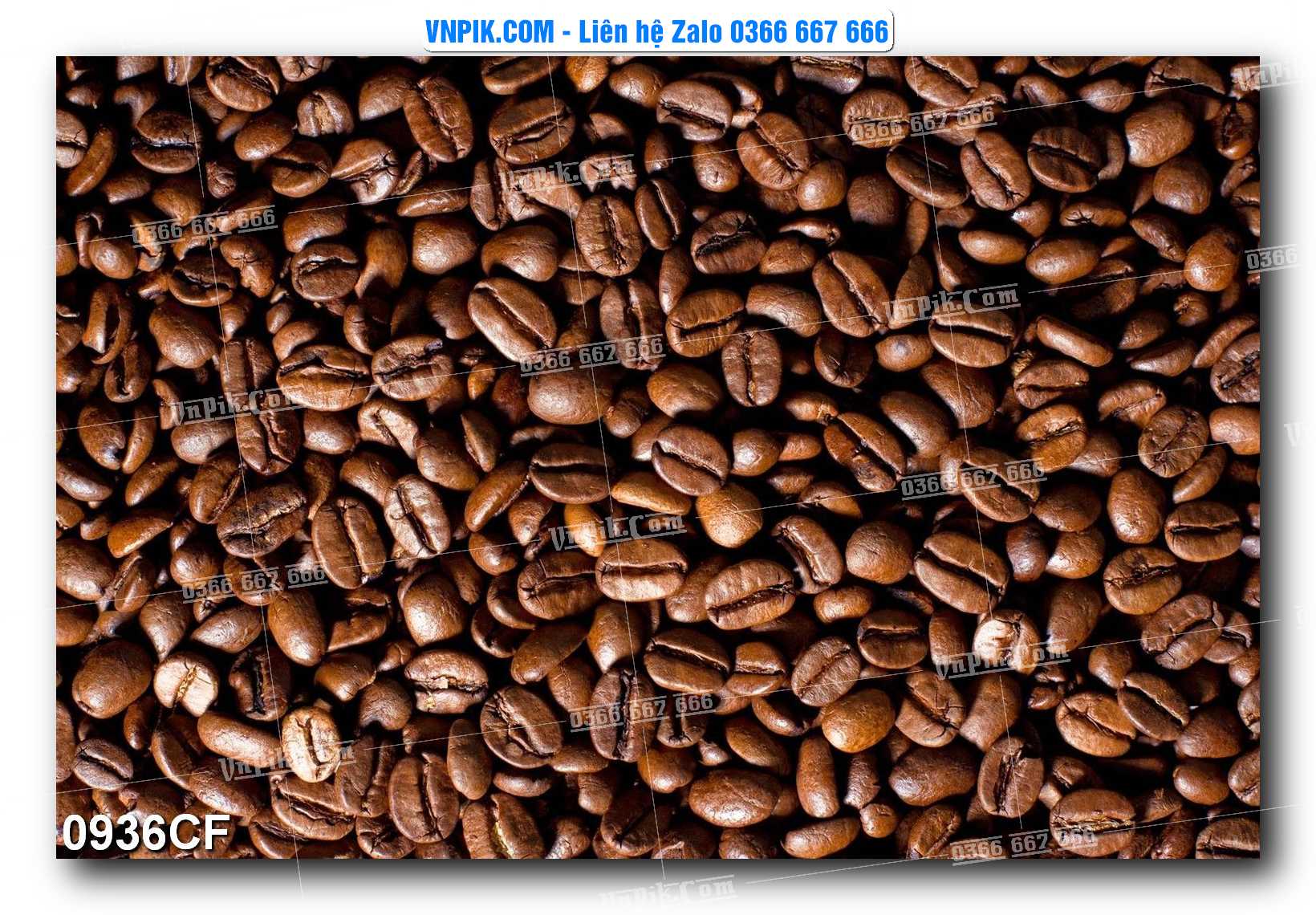 Tranh tường trang trí quán cà phê – trà chanh – trà sữa mã 0936CF