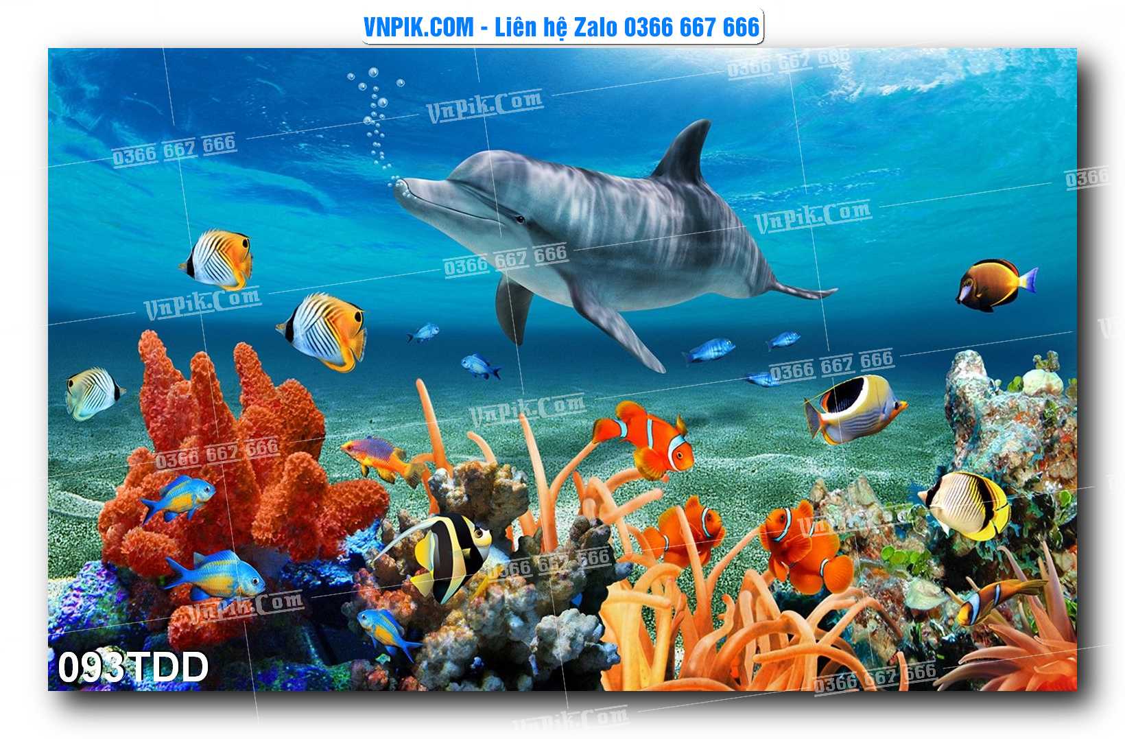 Tranh đại dương – cá heo 3D – tranh bể cá 093TDD
