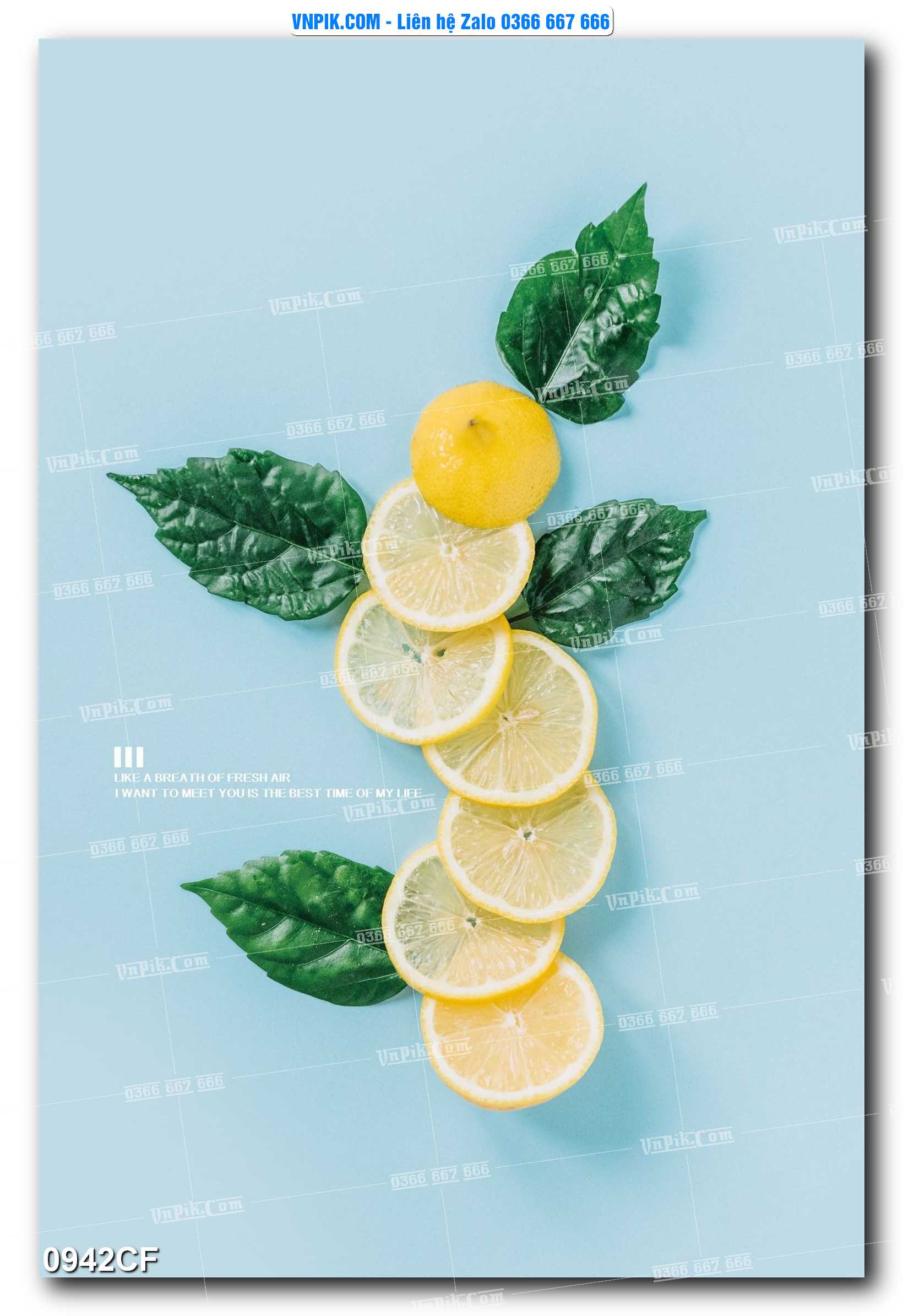 Tranh tường trang trí quán cà phê – trà chanh – trà sữa mã 0942CF