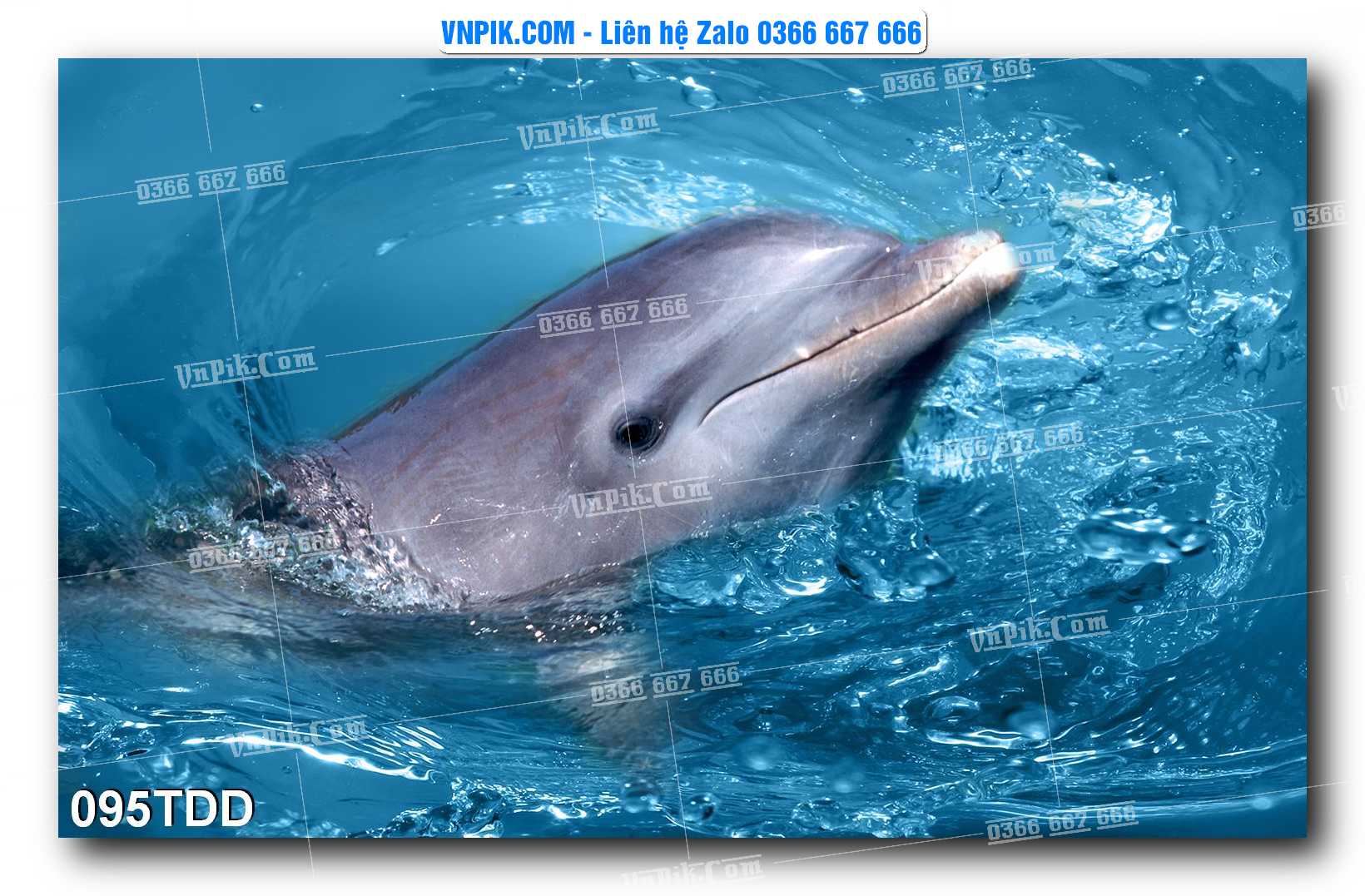 Tranh đại dương – cá heo 3D – tranh bể cá 095TDD