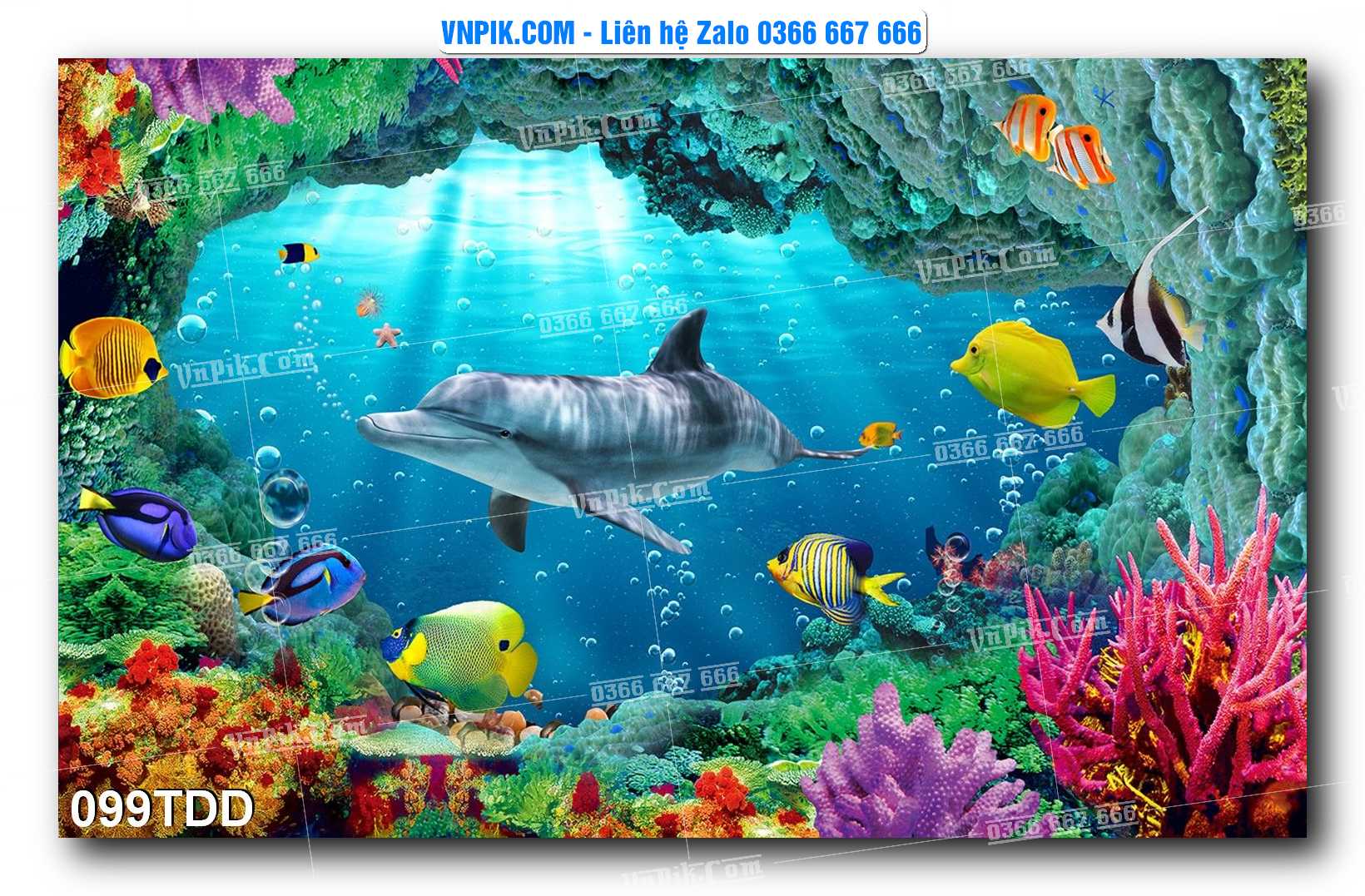 Tranh đại dương – cá heo 3D – tranh bể cá 099TDD