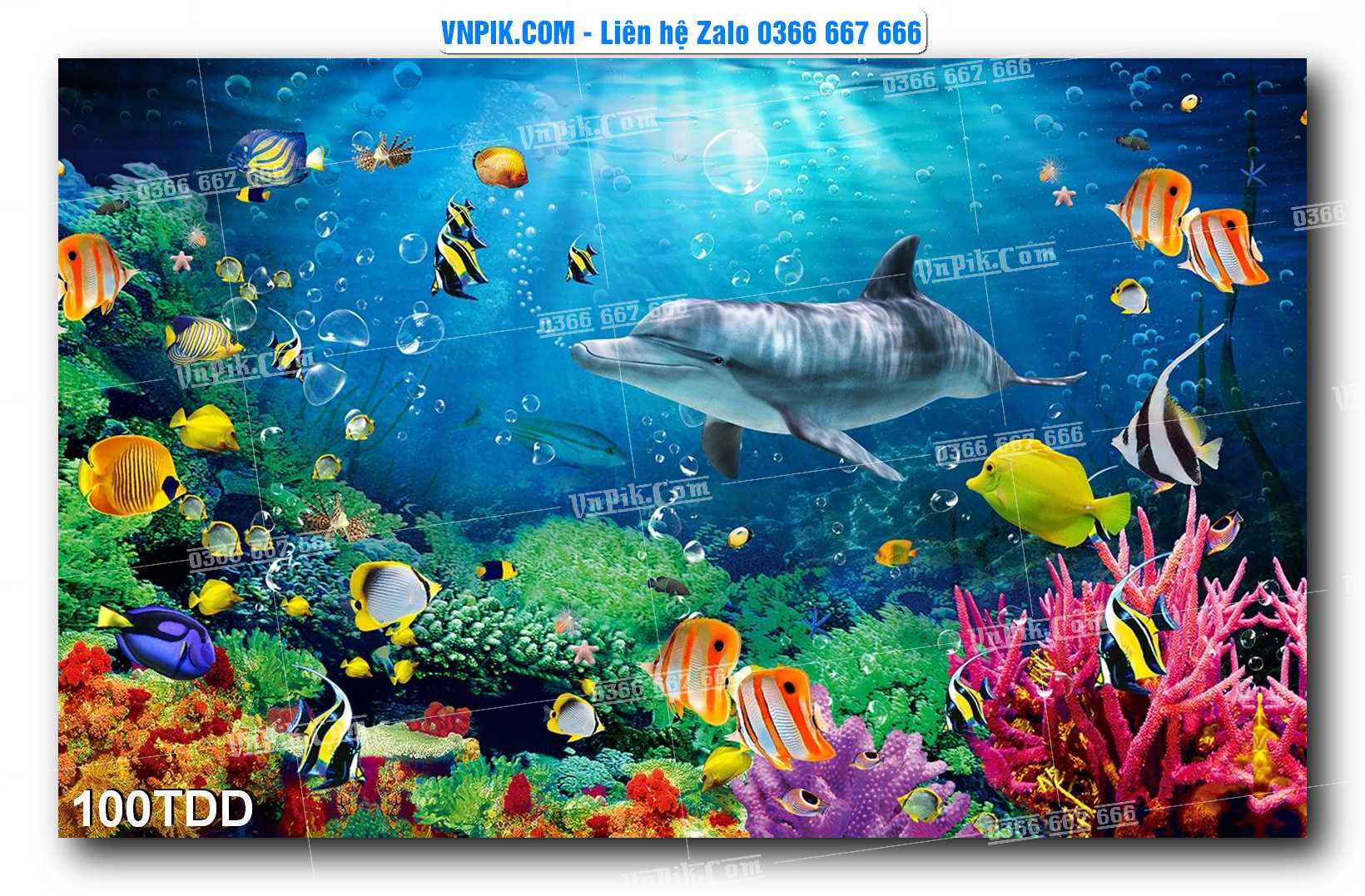 Tranh đại dương – cá heo 3D – tranh bể cá 100TDD