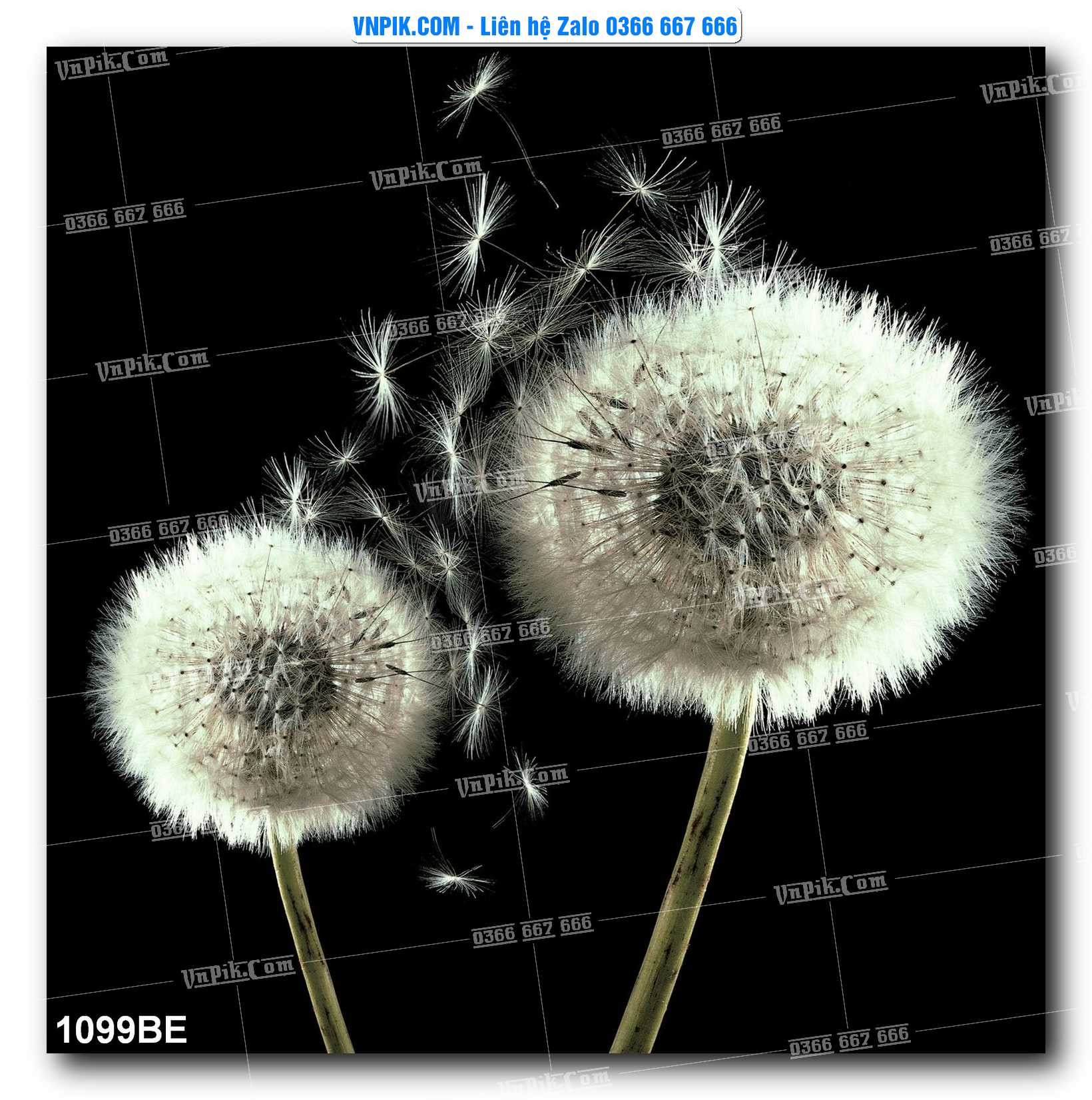 Tranh treo tường trang trí phòng bếp đẹp mã 1099BE