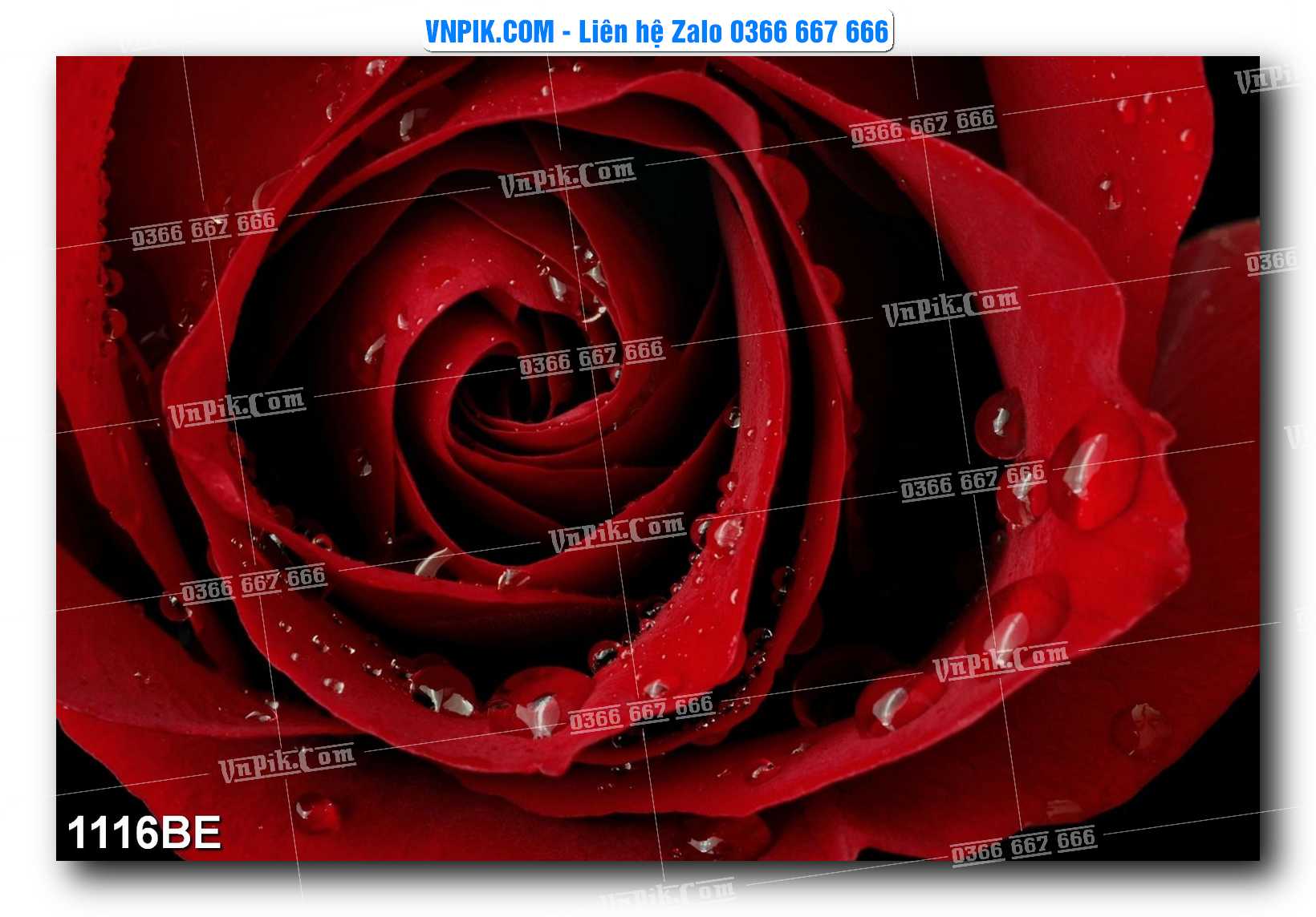 Tranh treo tường trang trí phòng bếp đẹp mã 1116BE
